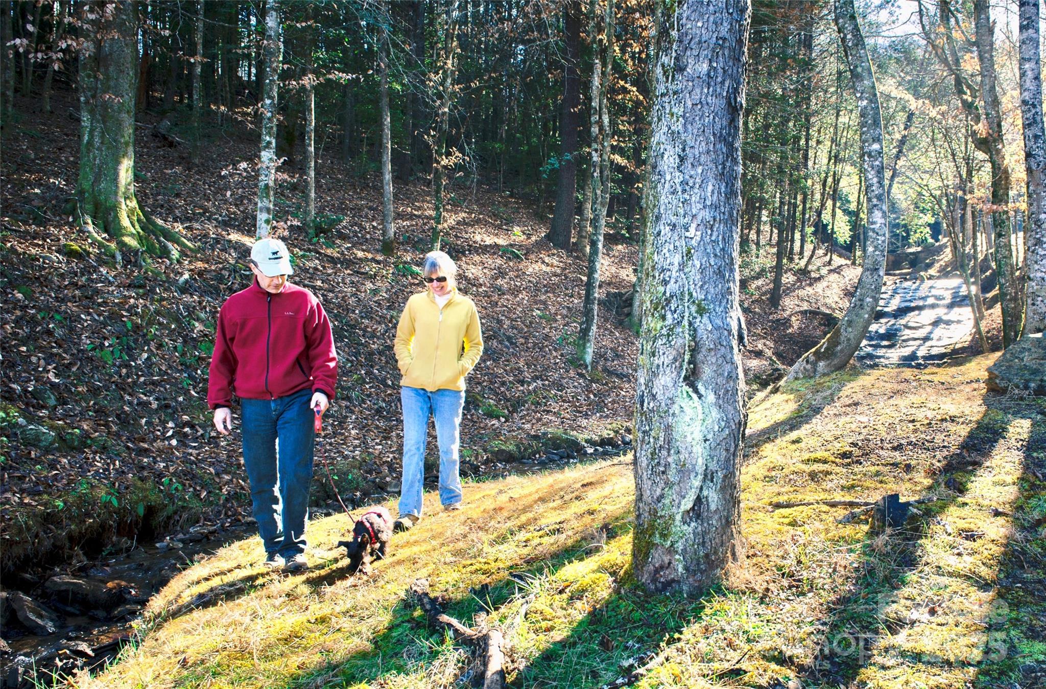 2.12 Acres, Lot 2 Round Mountain Parkway 2 Property Photo 21