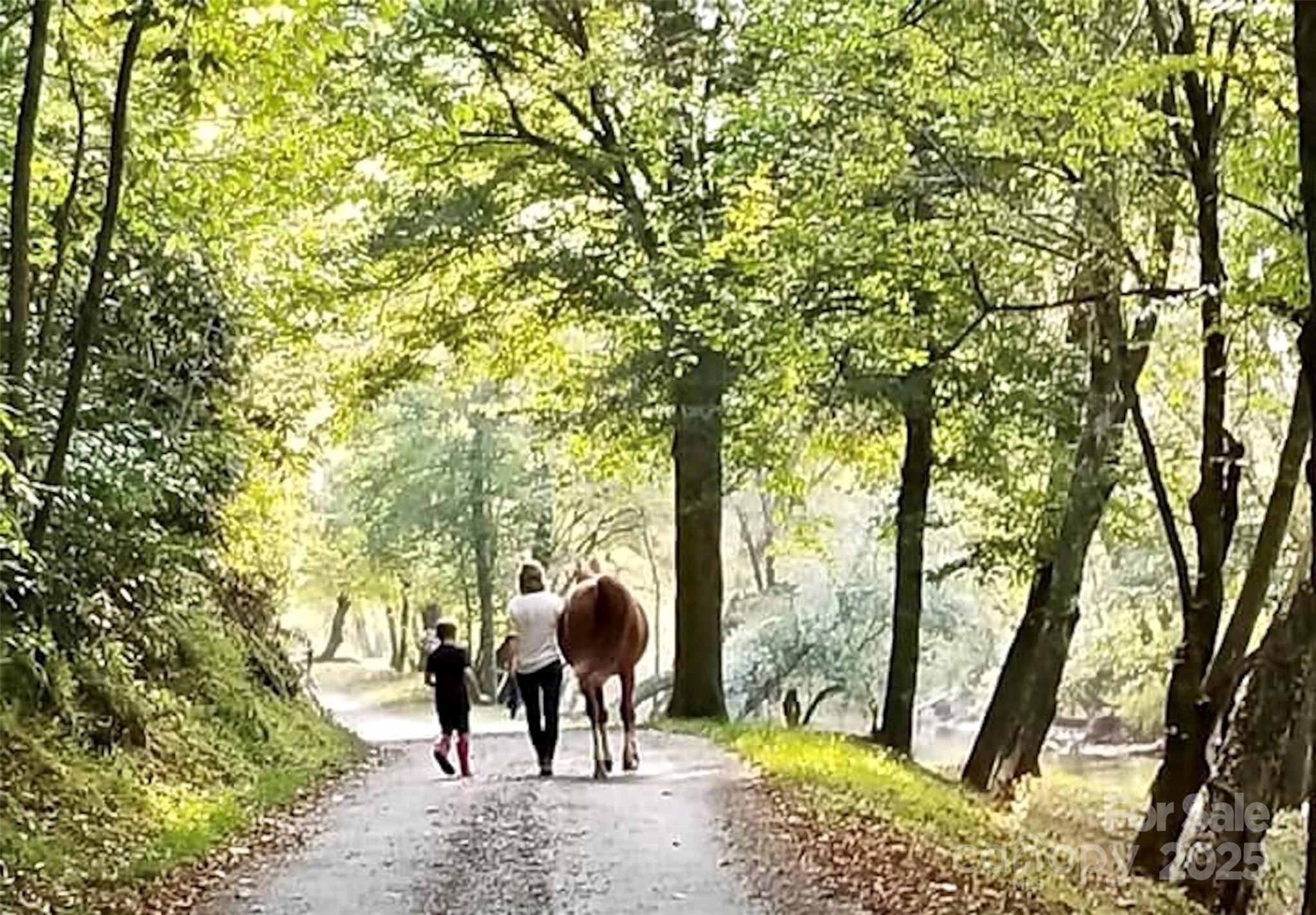 2.12 Acres, Lot 2 Round Mountain Parkway 2 Property Photo 22