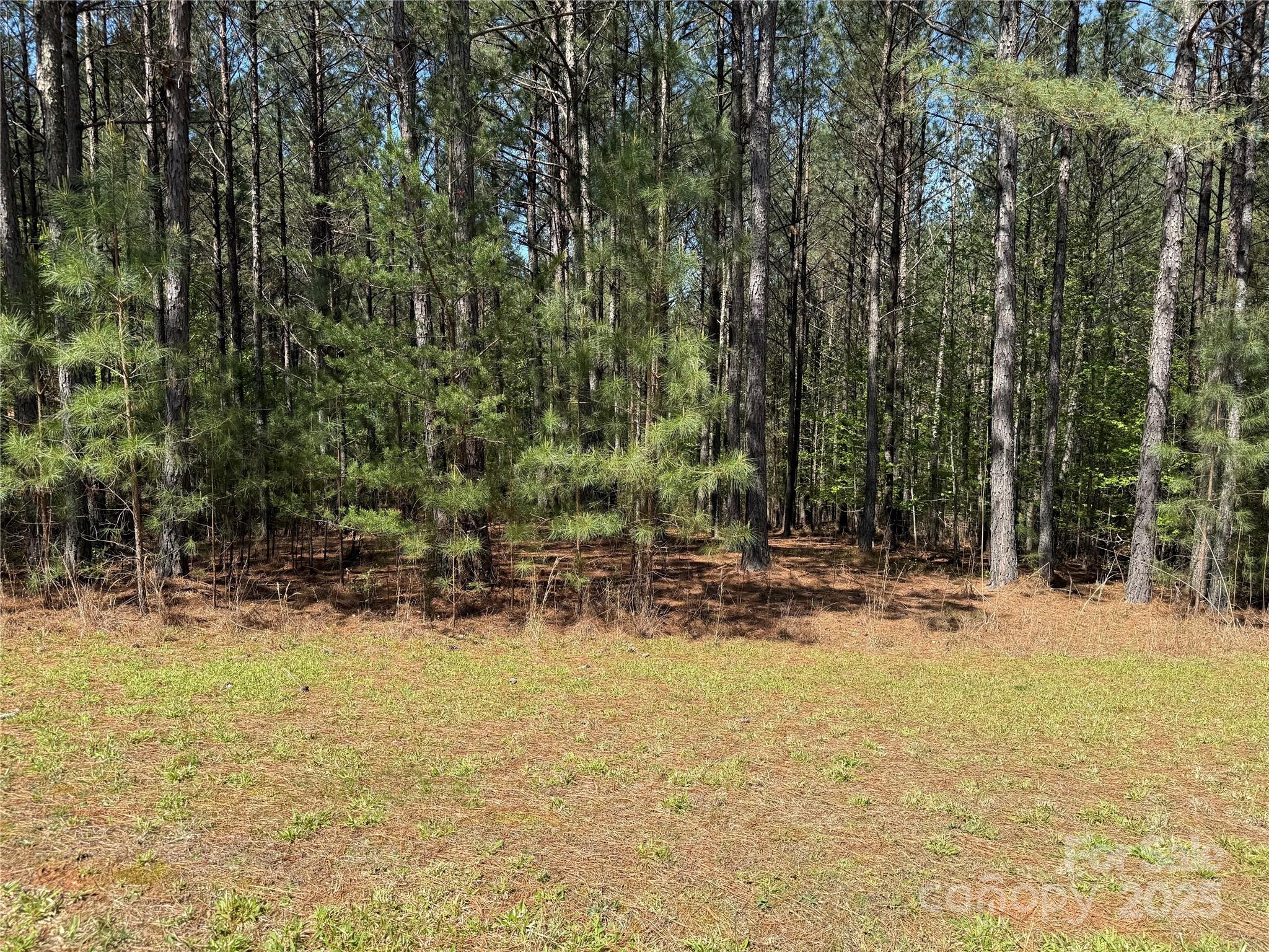 108 Whispering Pines Lane Property Photo 2