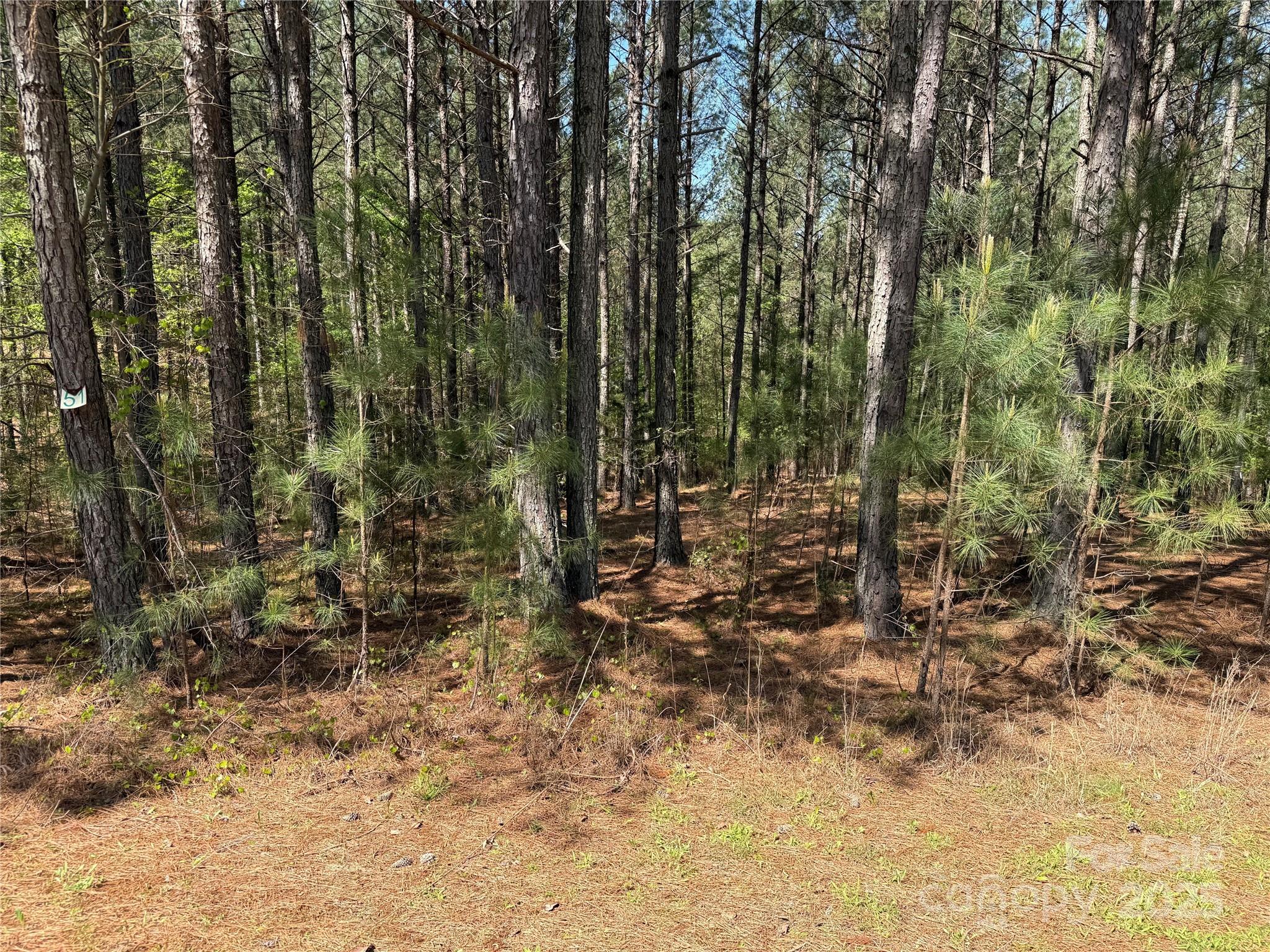 108 Whispering Pines Lane Property Photo 4
