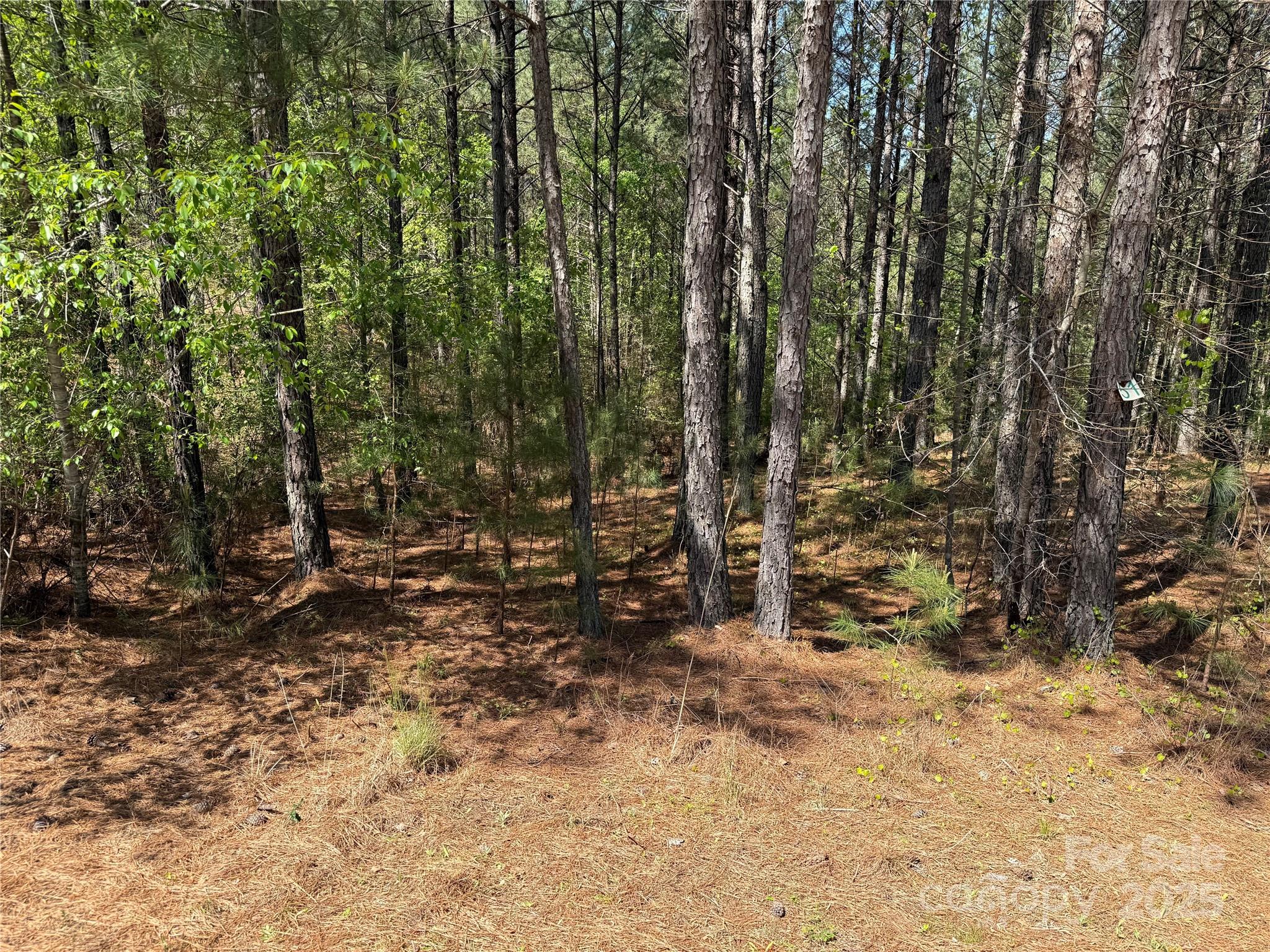 108 Whispering Pines Lane Property Photo 5