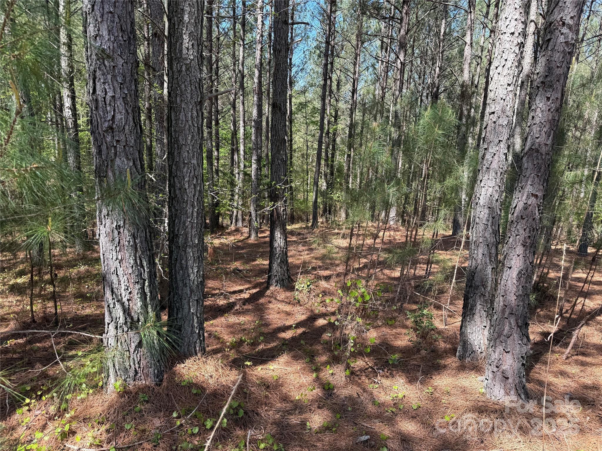 108 Whispering Pines Lane Property Photo 6