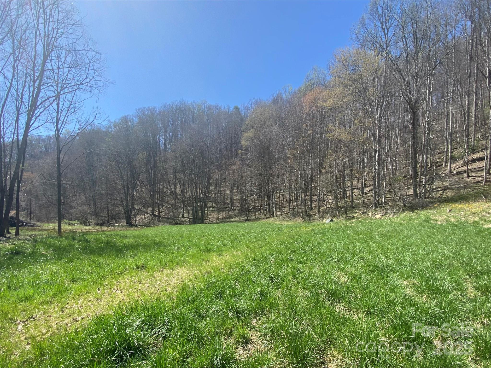 00 Laurel Valley Road Property Photo