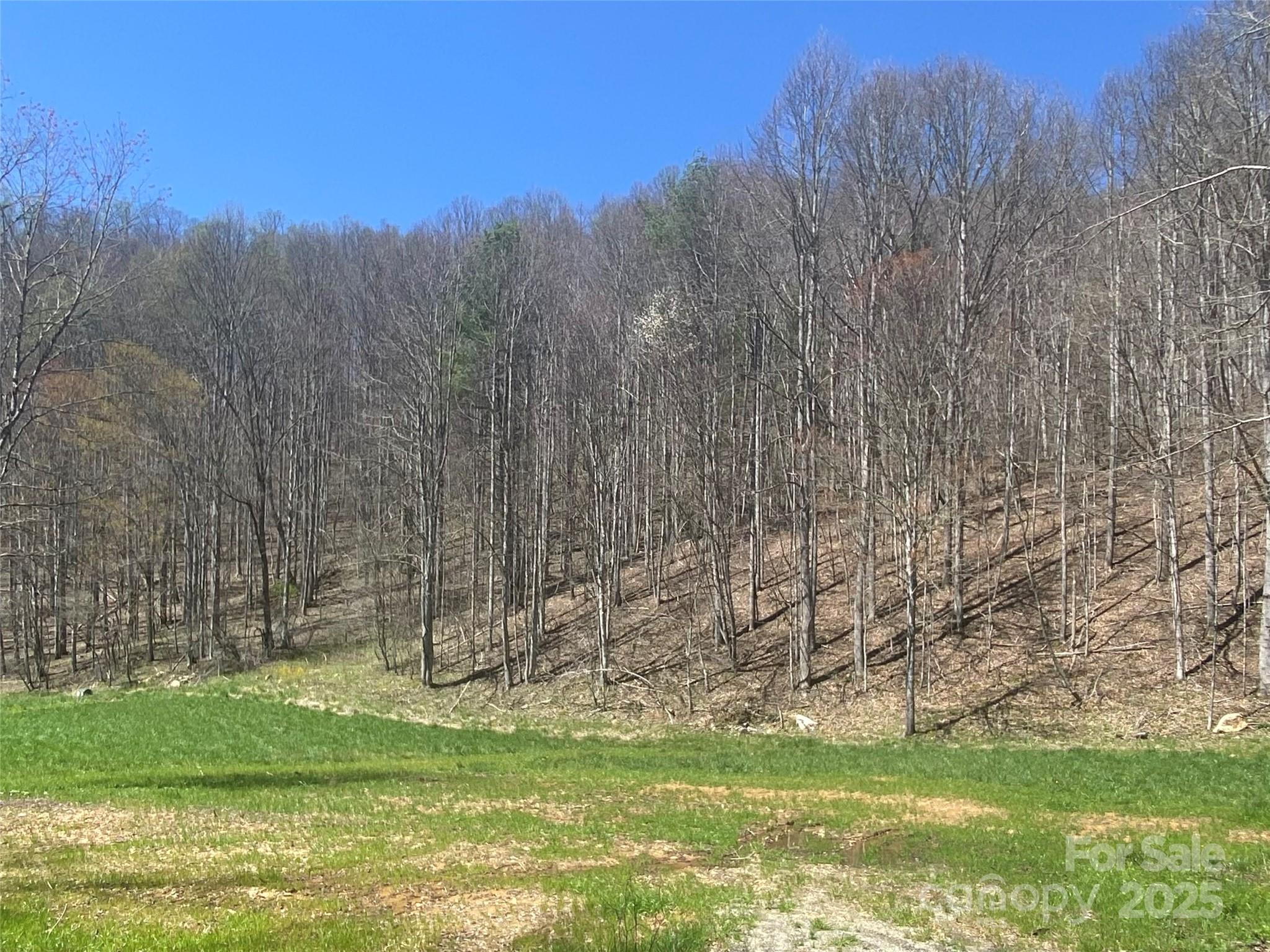 00 Laurel Valley Road Property Photo 3