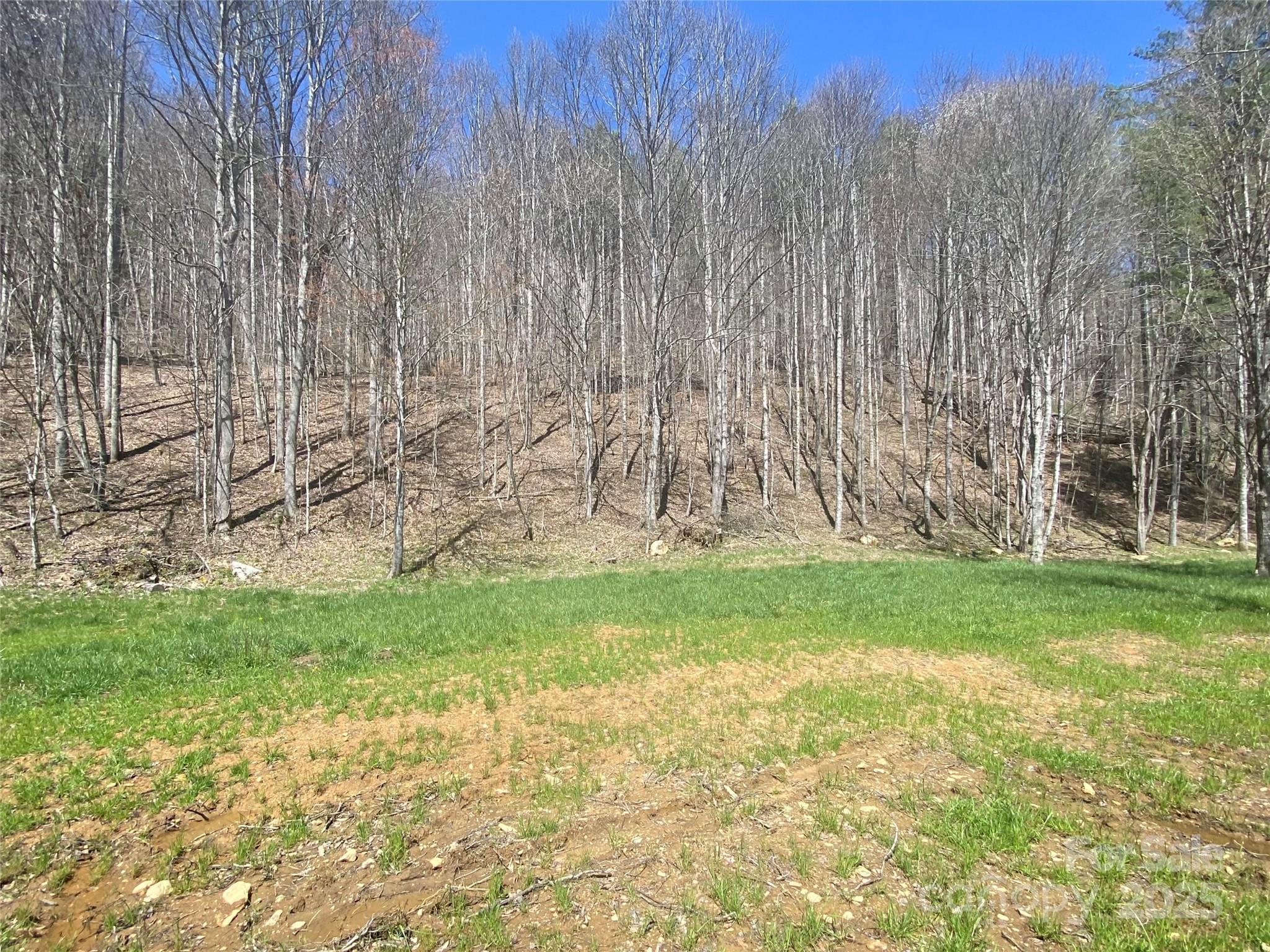 00 Laurel Valley Road Property Photo 6