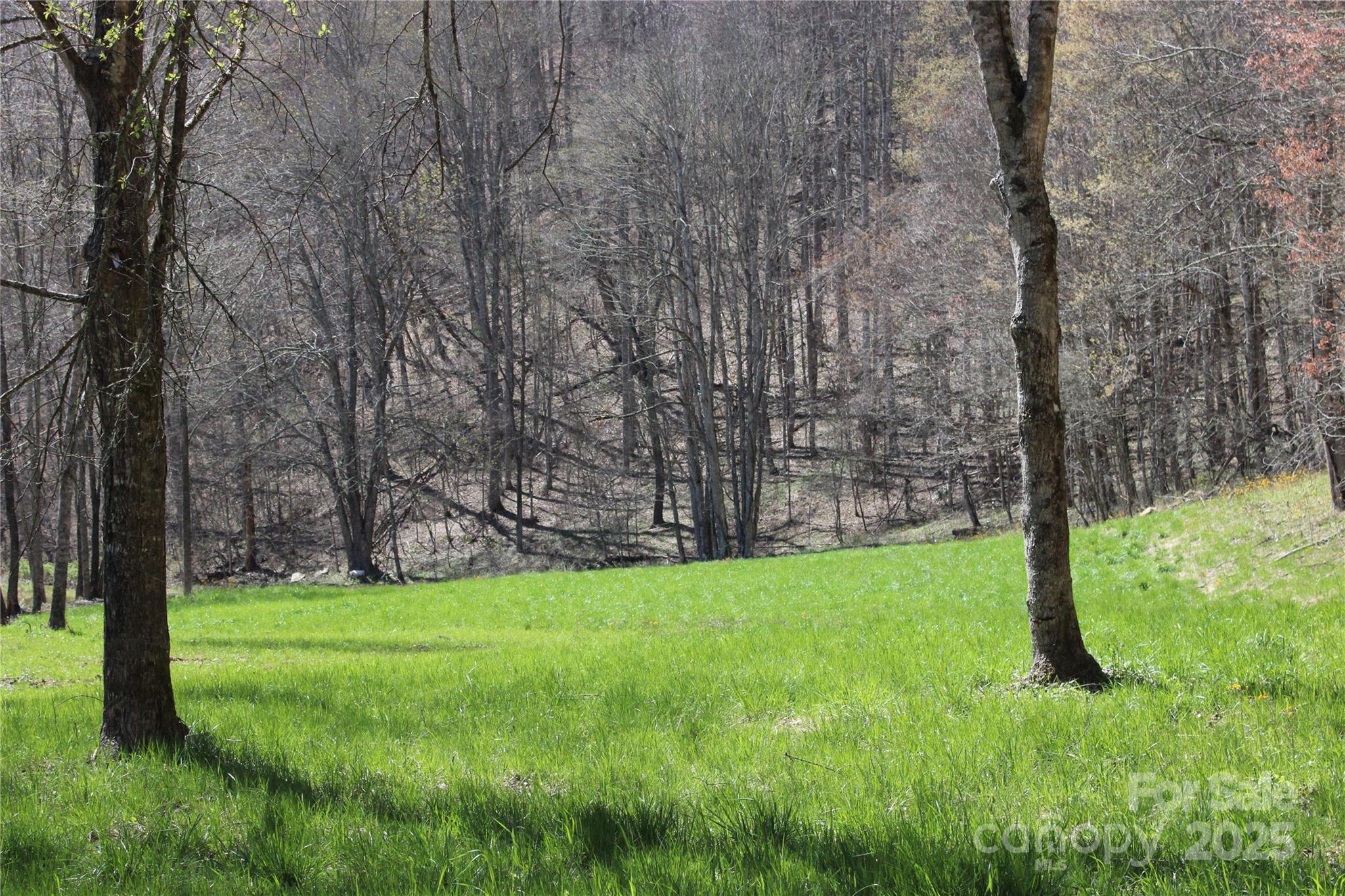 00 Laurel Valley Road Property Photo 12