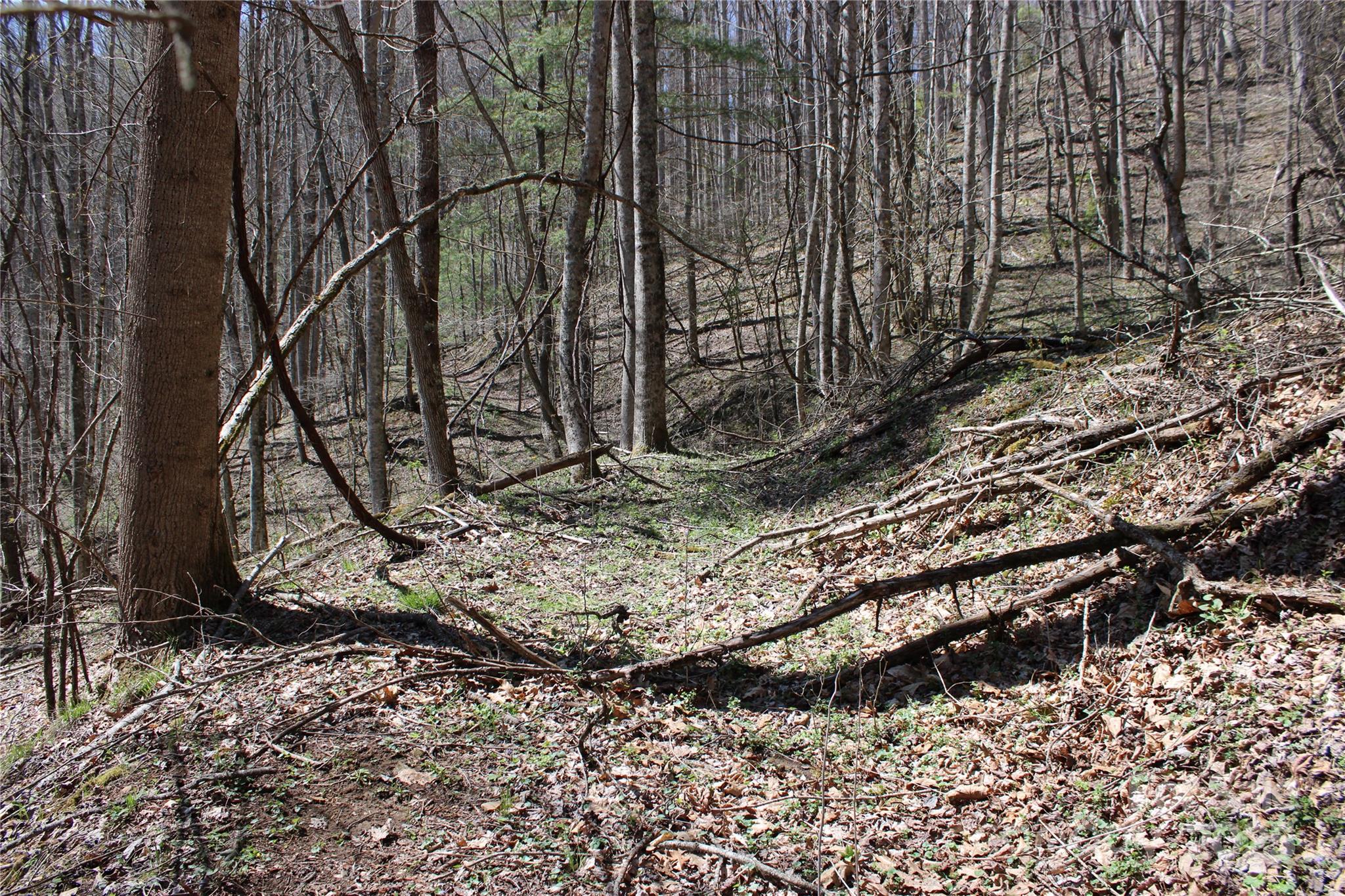 00 Laurel Valley Road Property Photo 13