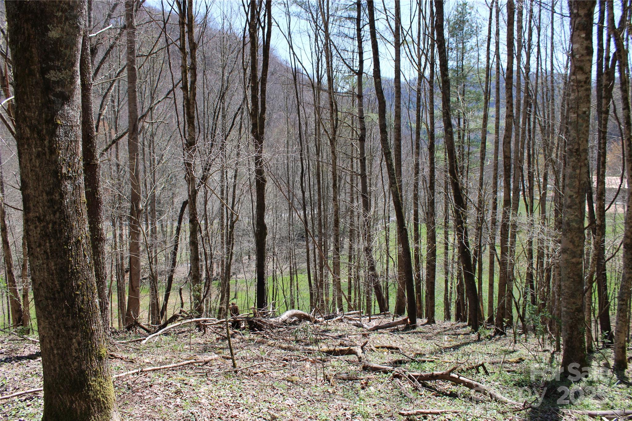 00 Laurel Valley Road Property Photo 14