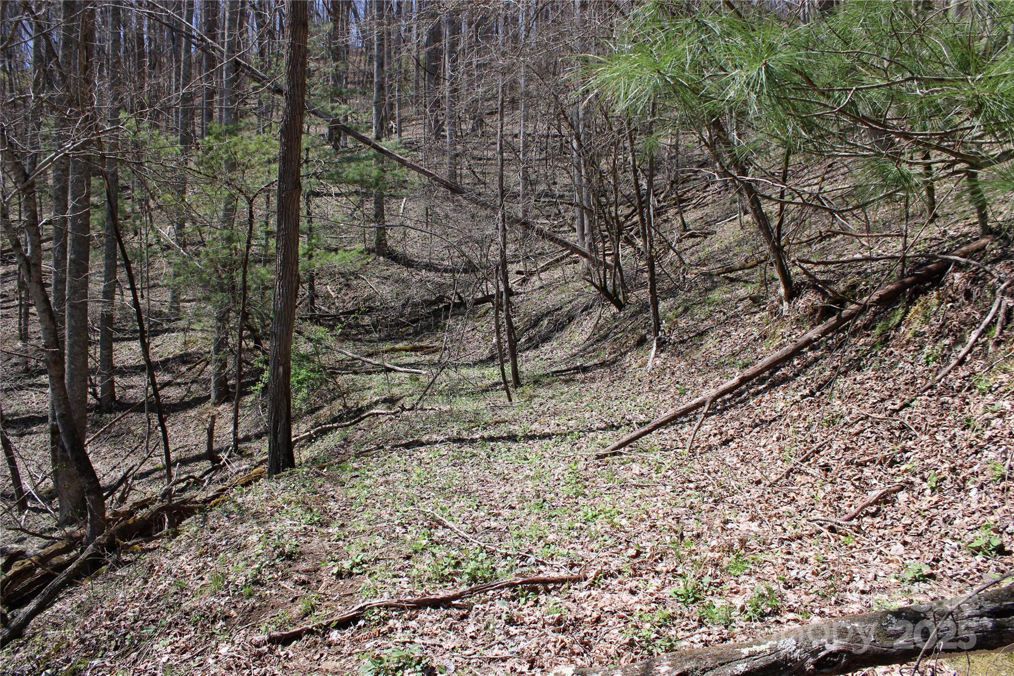 00 Laurel Valley Road Property Photo 15