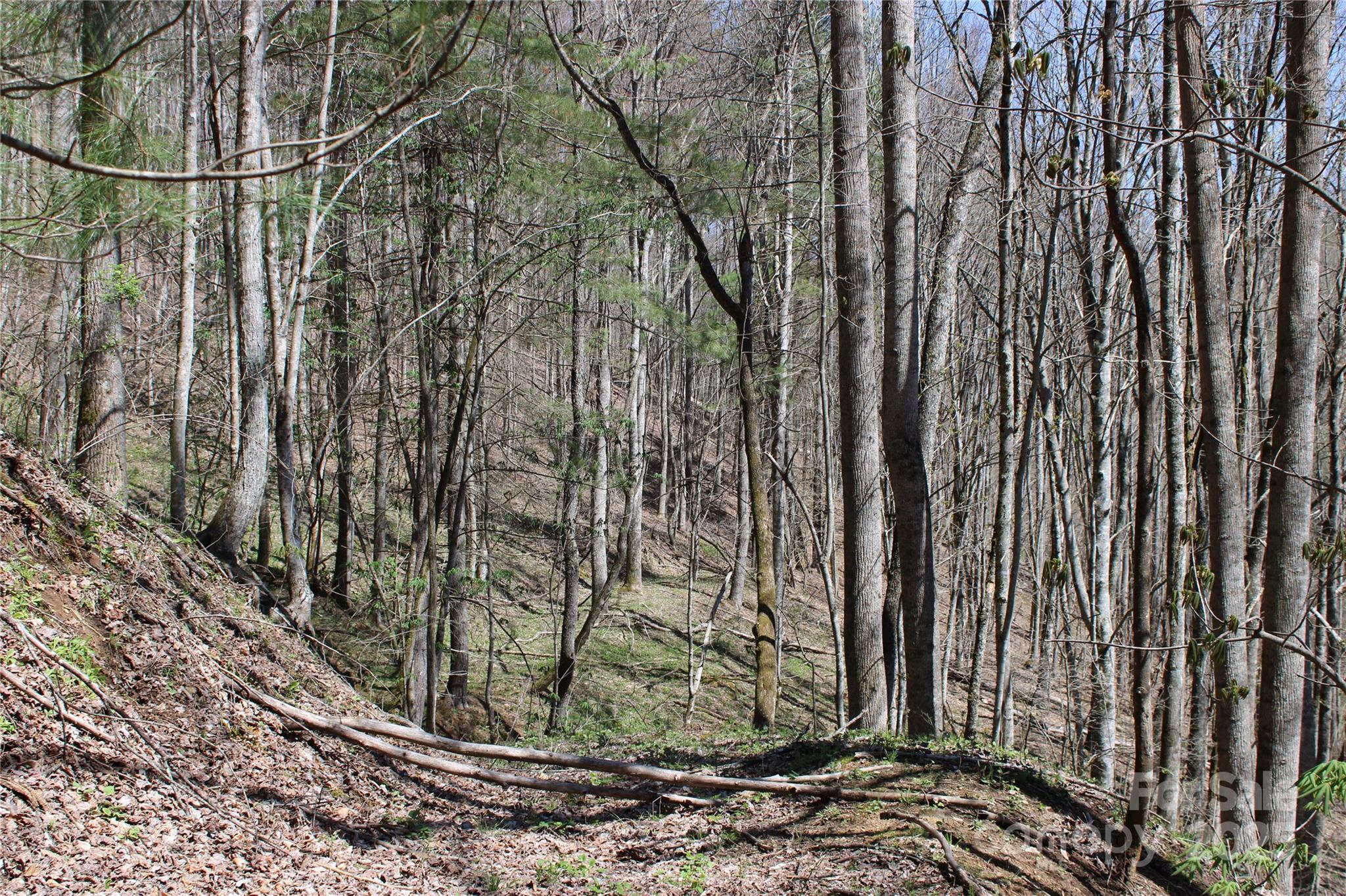 00 Laurel Valley Road Property Photo 16