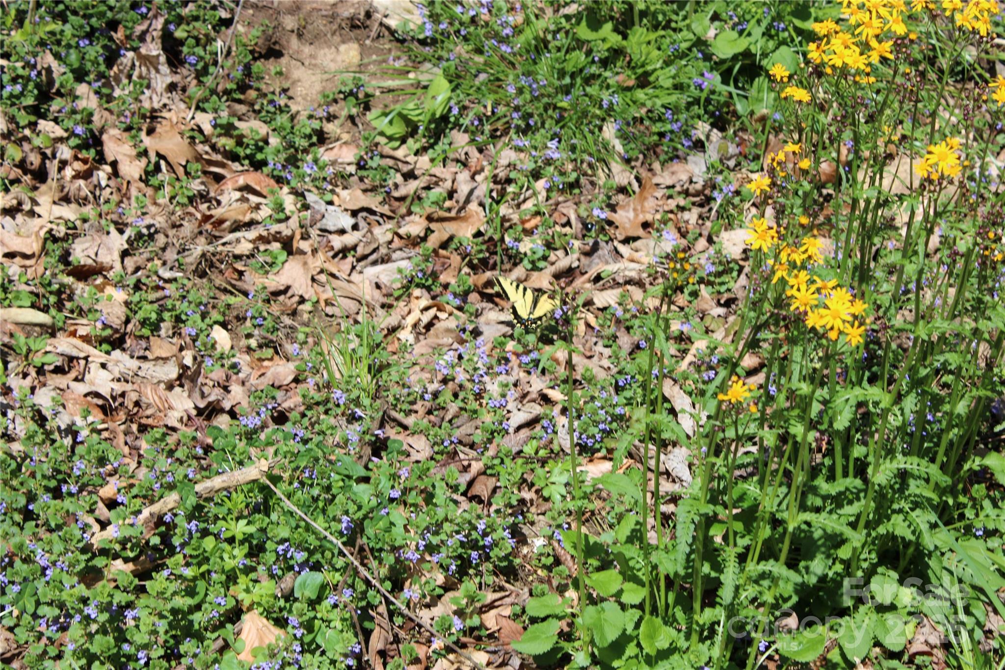 00 Laurel Valley Road Property Photo 17