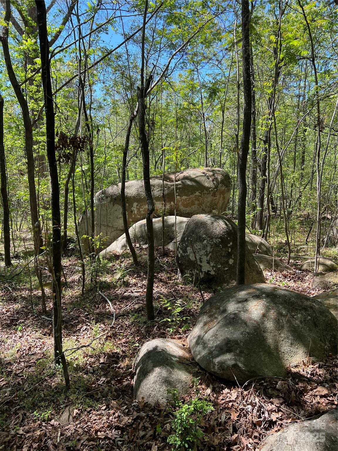 Tbd Rollings Road Property Photo