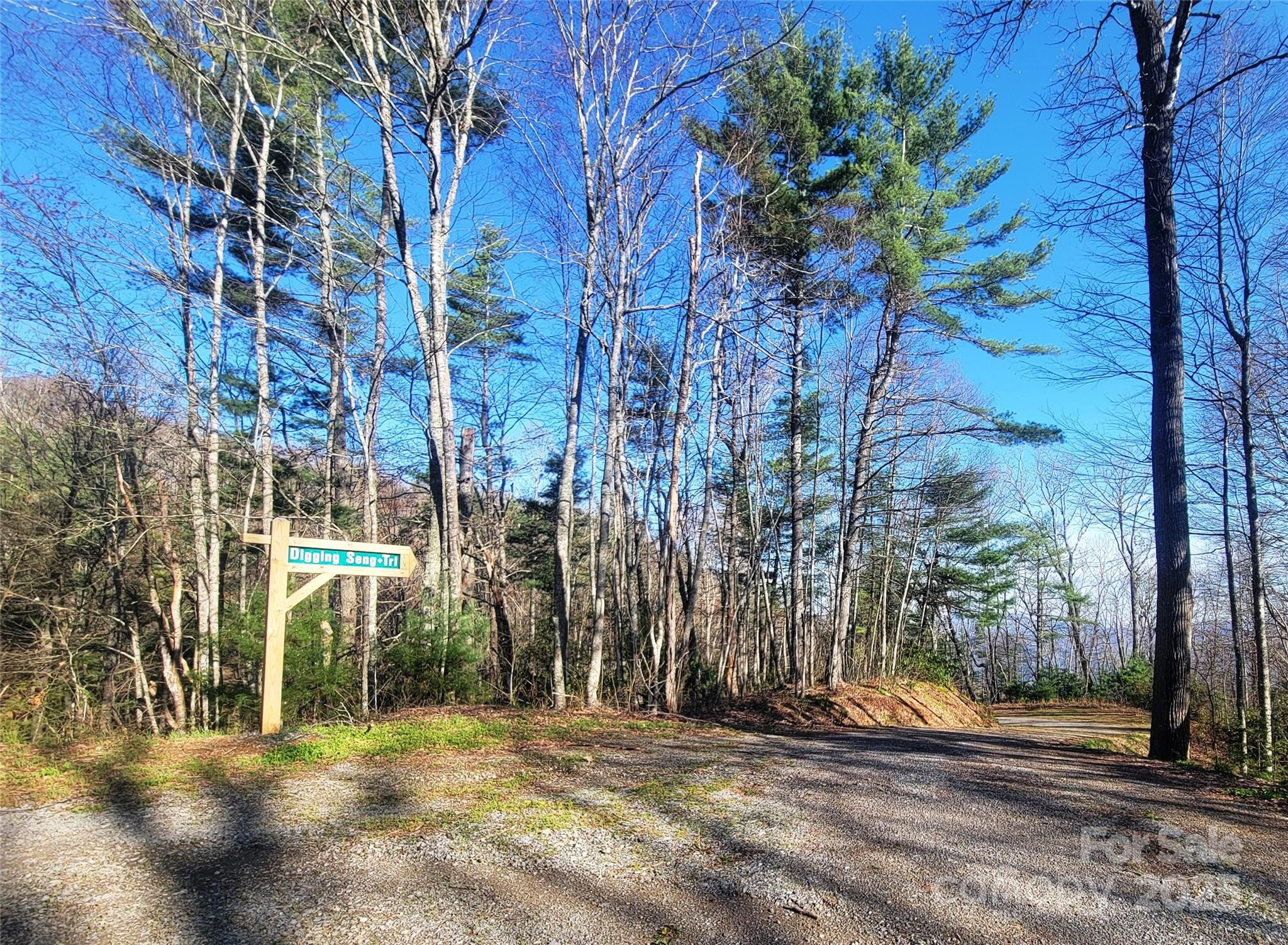 111 Digging Seng Trail 138 Property Photo