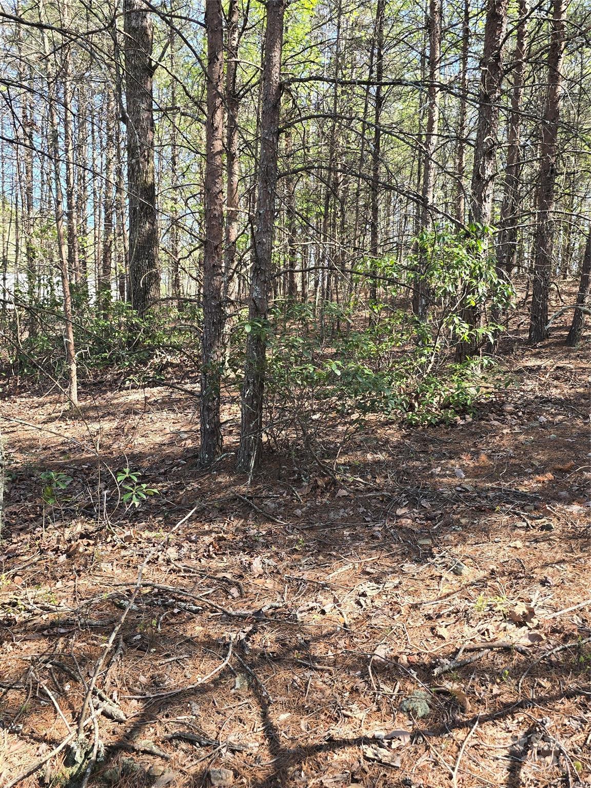 74 Ridge Way Property Photo