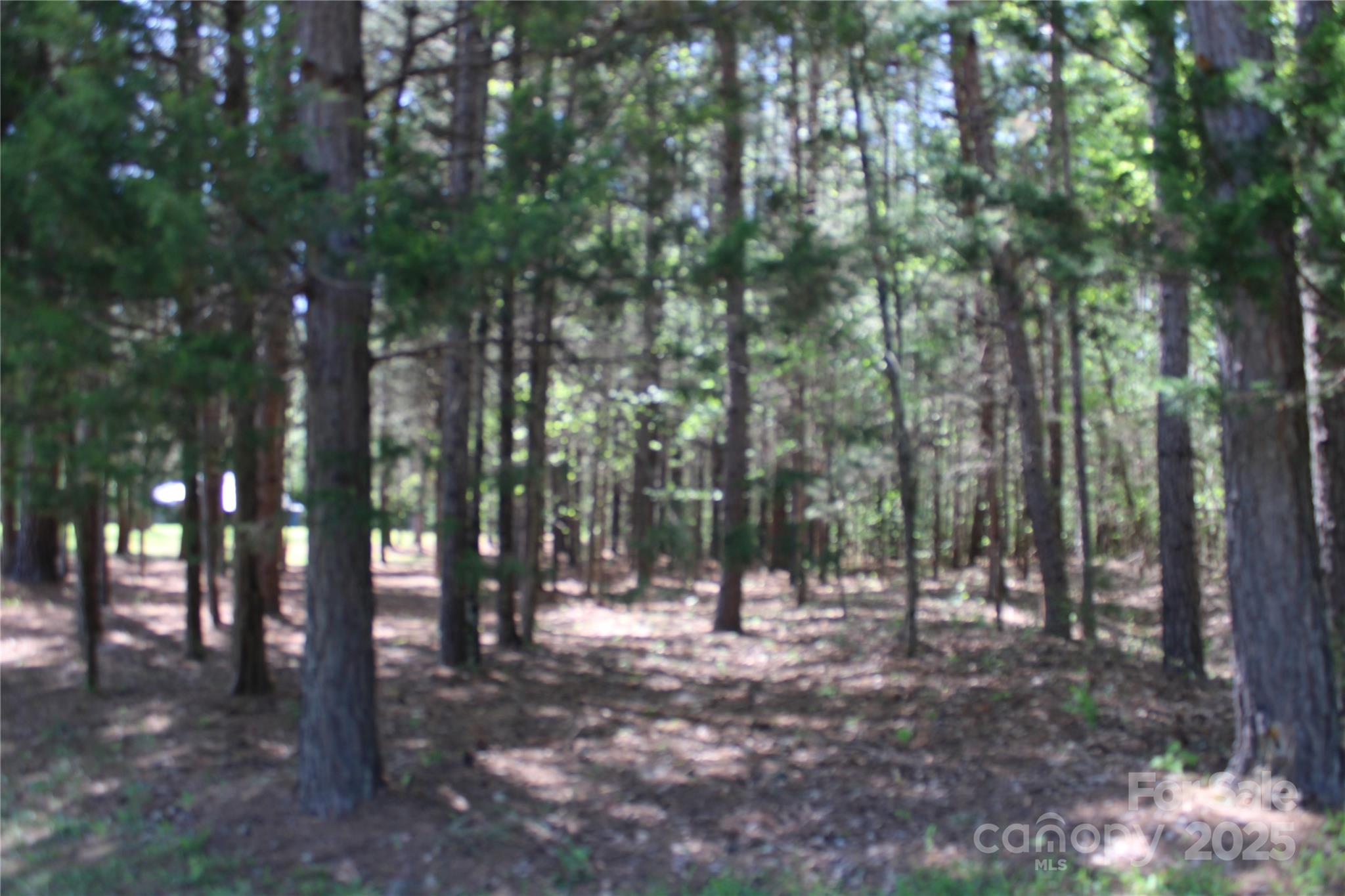 5264 Battleground Road Property Photo 3