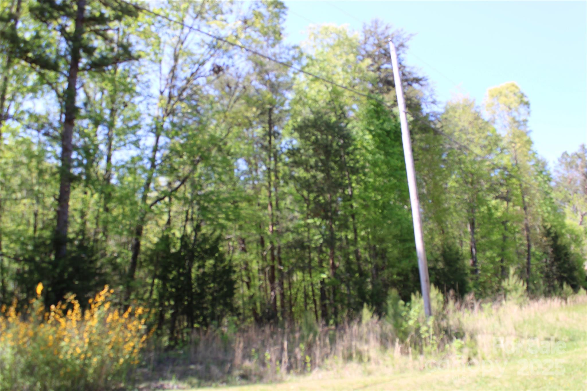5264 Battleground Road Property Photo 5