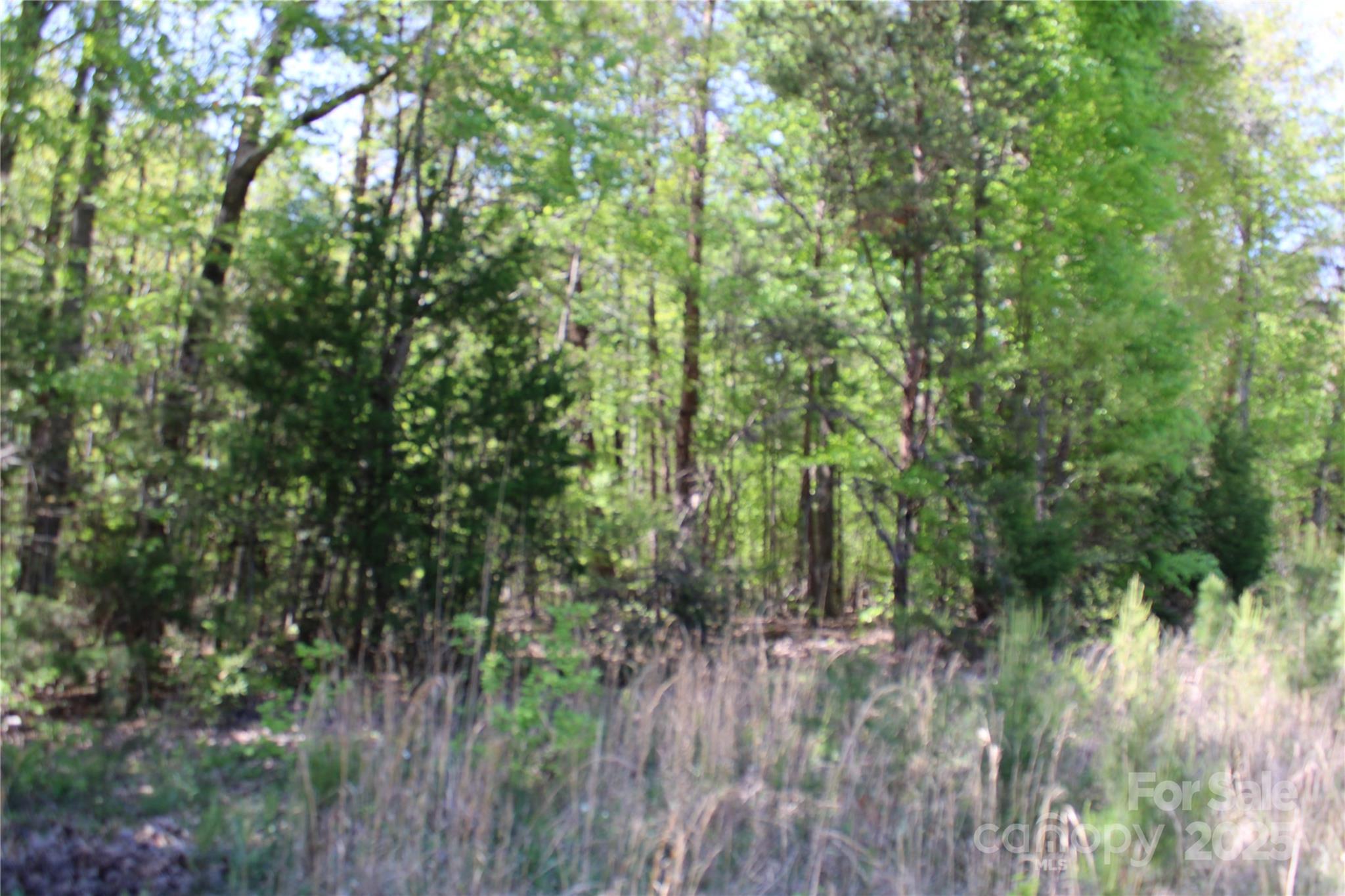 5264 Battleground Road Property Photo 7