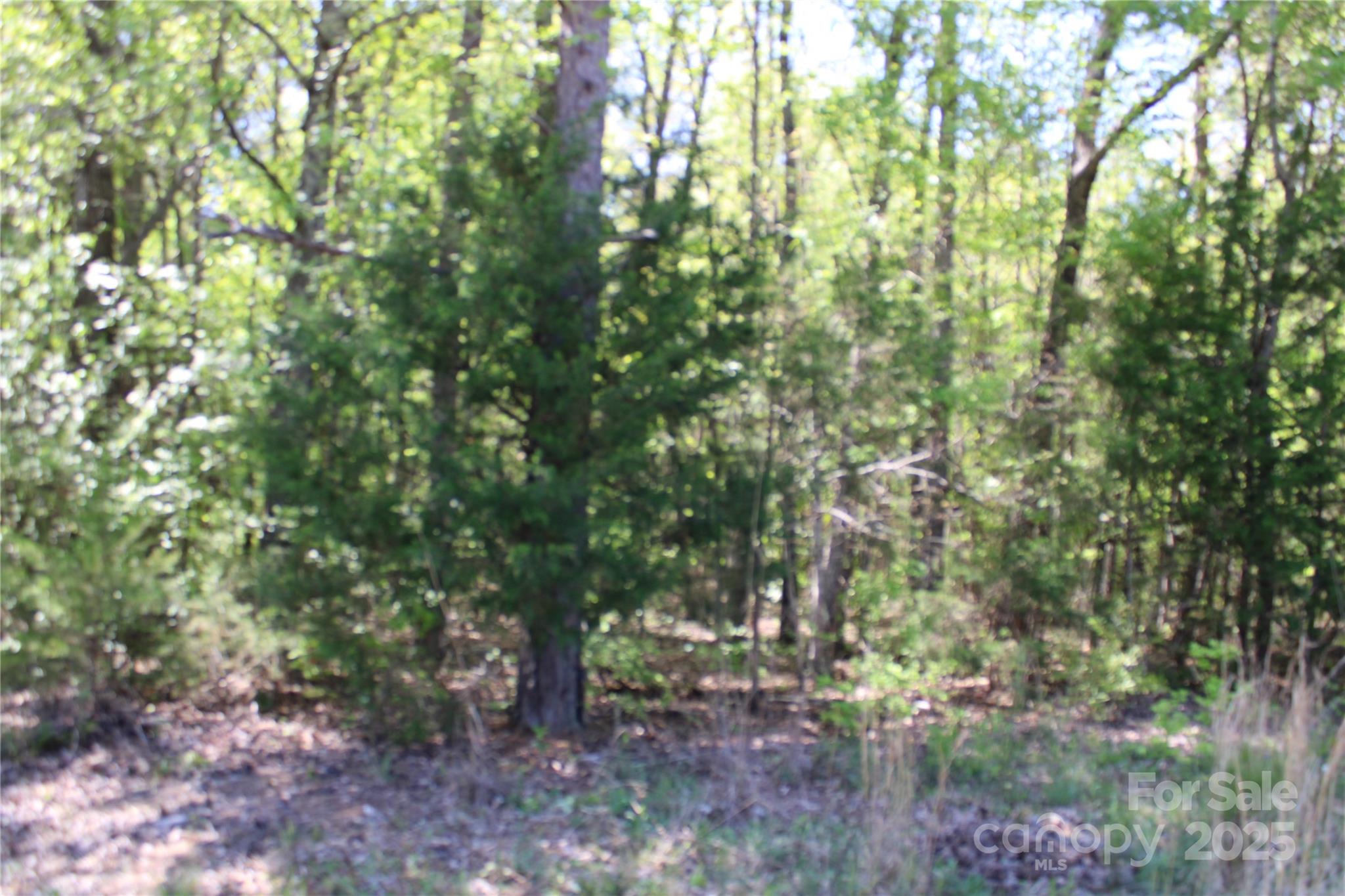 5264 Battleground Road Property Photo 8