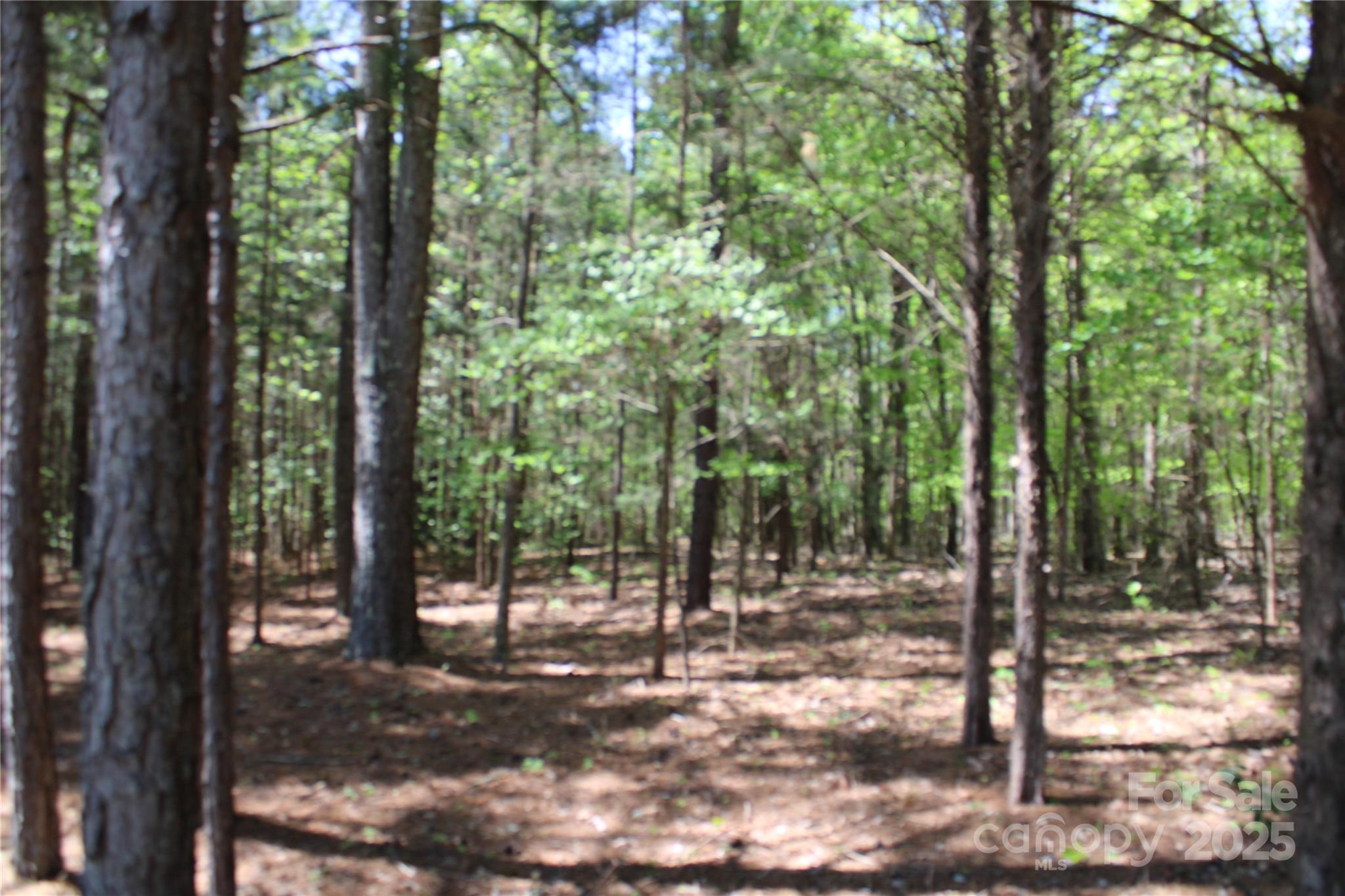 5264 Battleground Road Property Photo 9