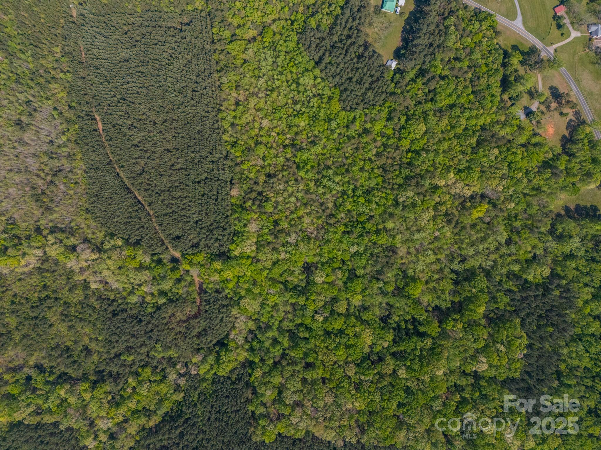 5264 Battleground Road Property Photo 13