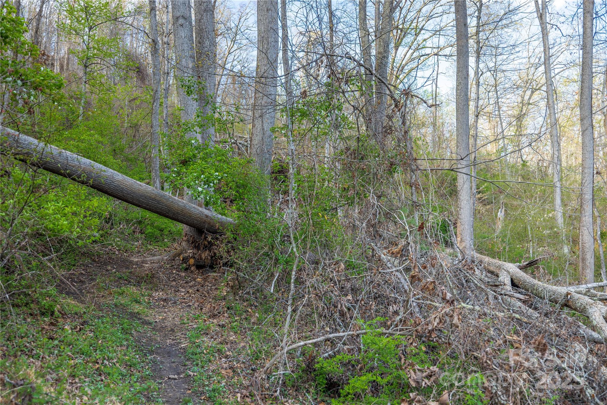 Lot 2 Wake Robin Way Property Photo 20