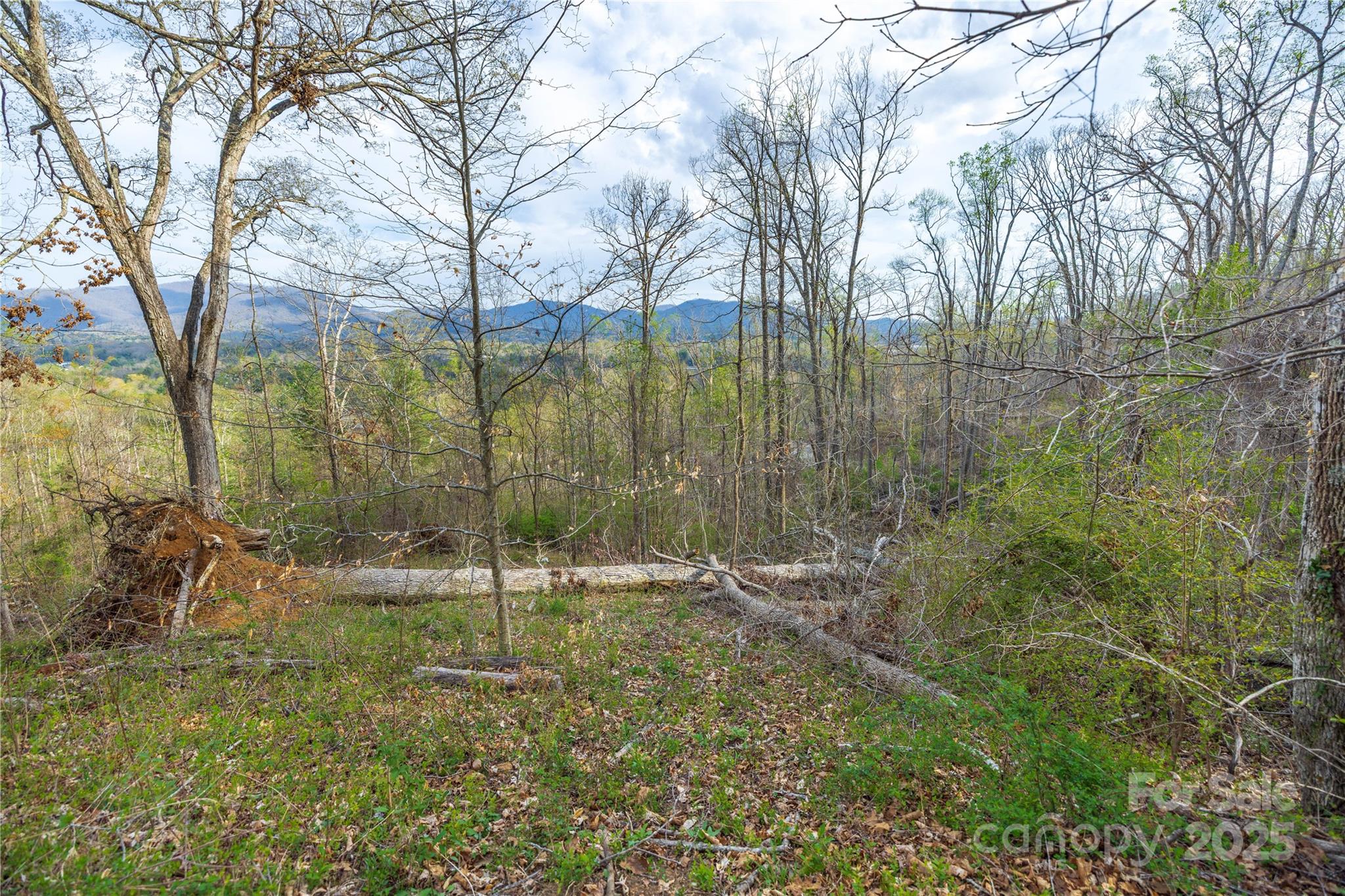 Lot 2 Wake Robin Way Property Photo 21