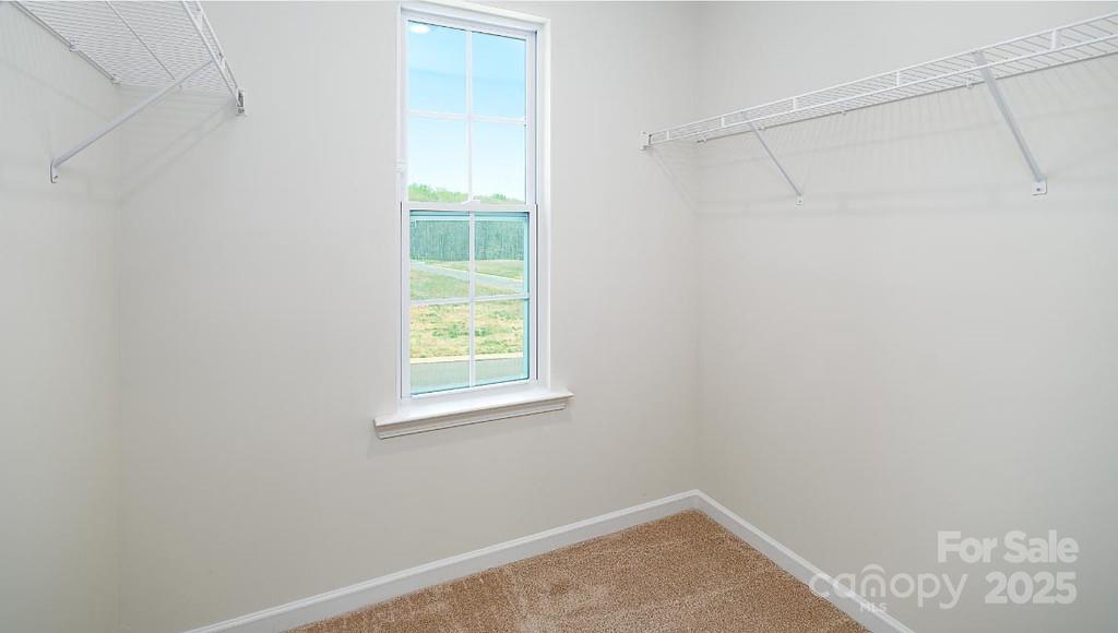 6157 Helens Rest Lane Property Photo 14