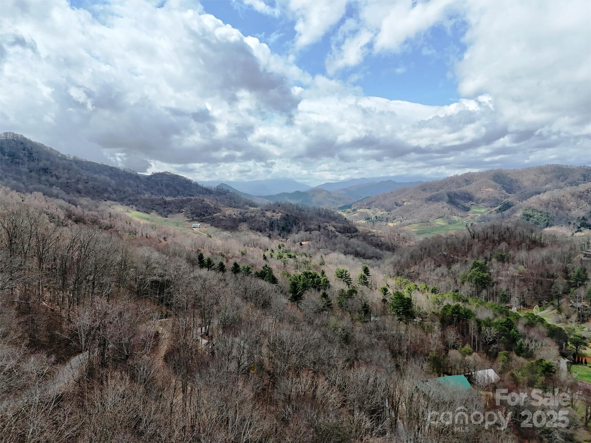 Tbd Moonbeam Lane 101 & 102 Property Photo 3