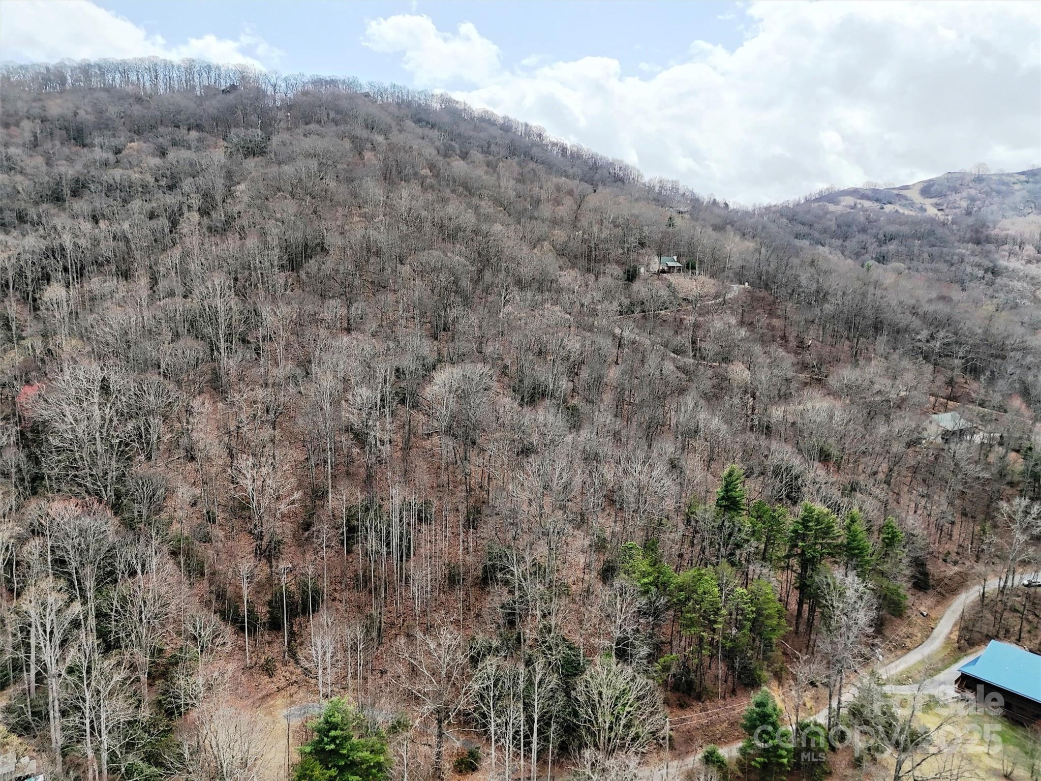 Tbd Moonbeam Lane 101 & 102 Property Photo 7