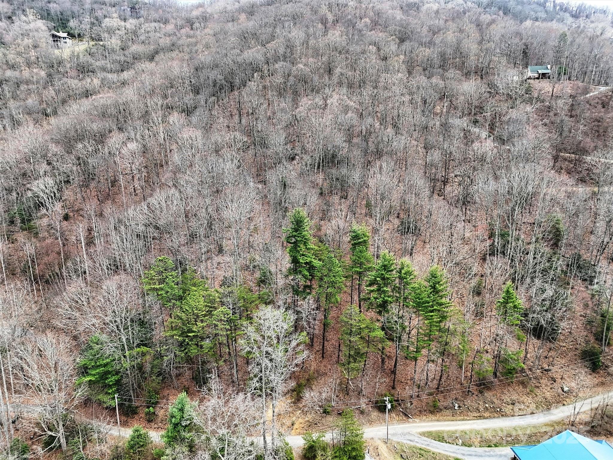 Tbd Moonbeam Lane 101 & 102 Property Photo 8