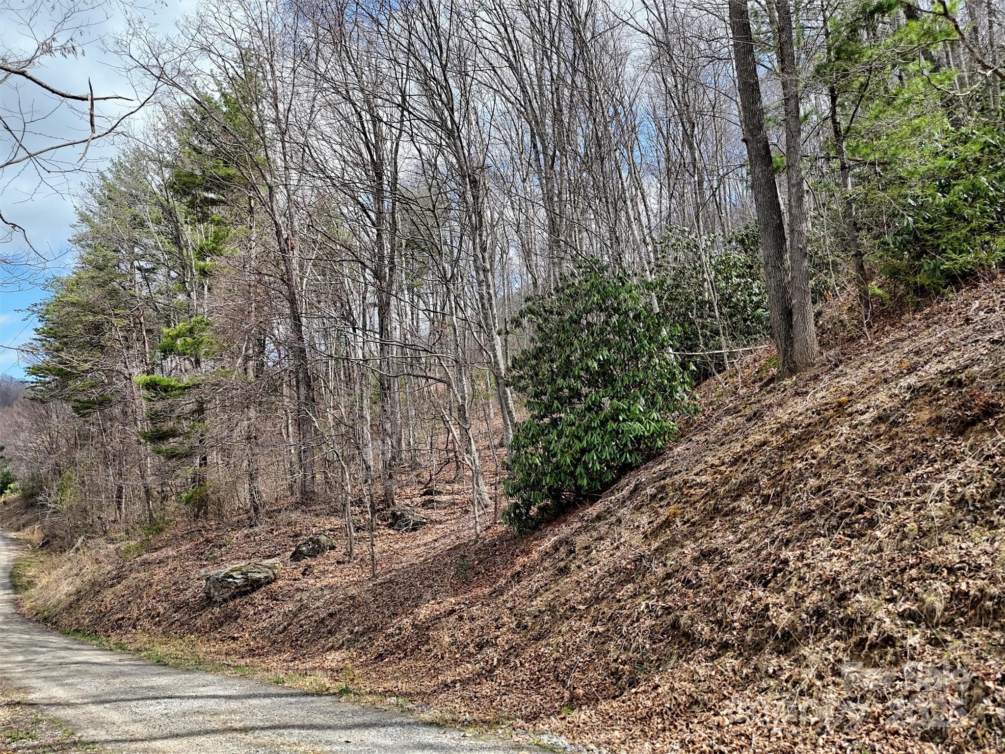 Tbd Moonbeam Lane 101 & 102 Property Photo 11