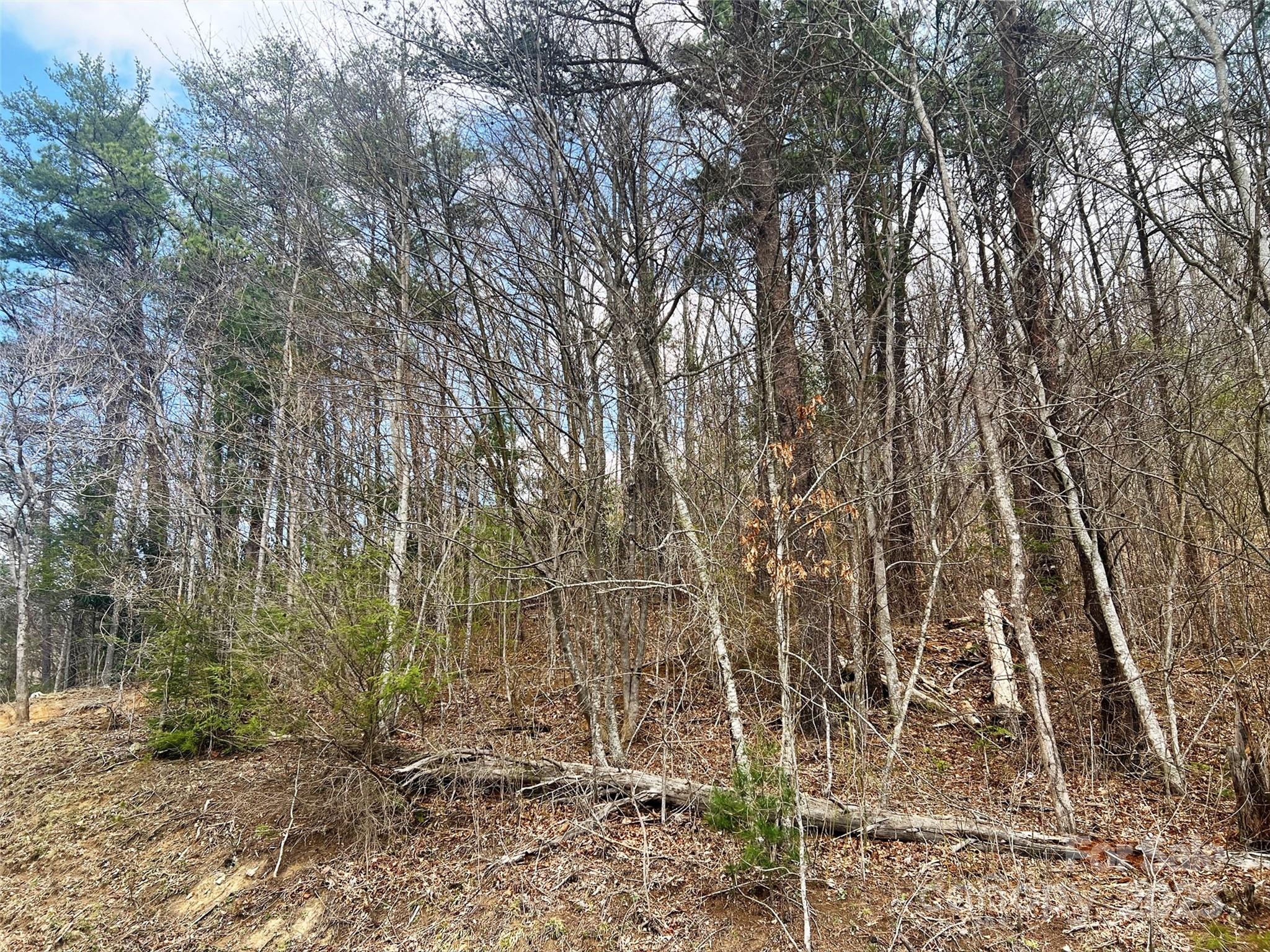 Tbd Moonbeam Lane 101 & 102 Property Photo 12