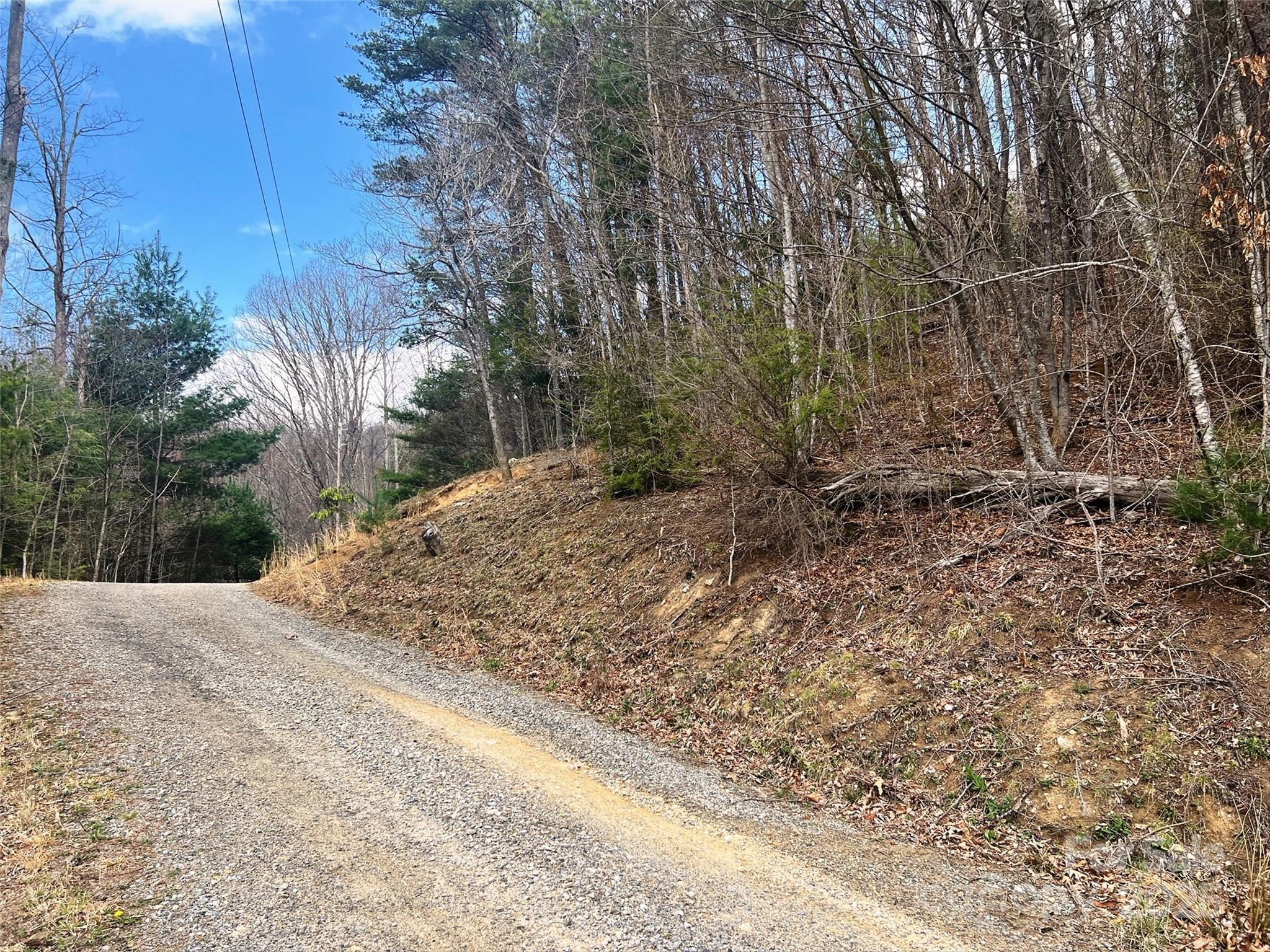 Tbd Moonbeam Lane 101 & 102 Property Photo 13