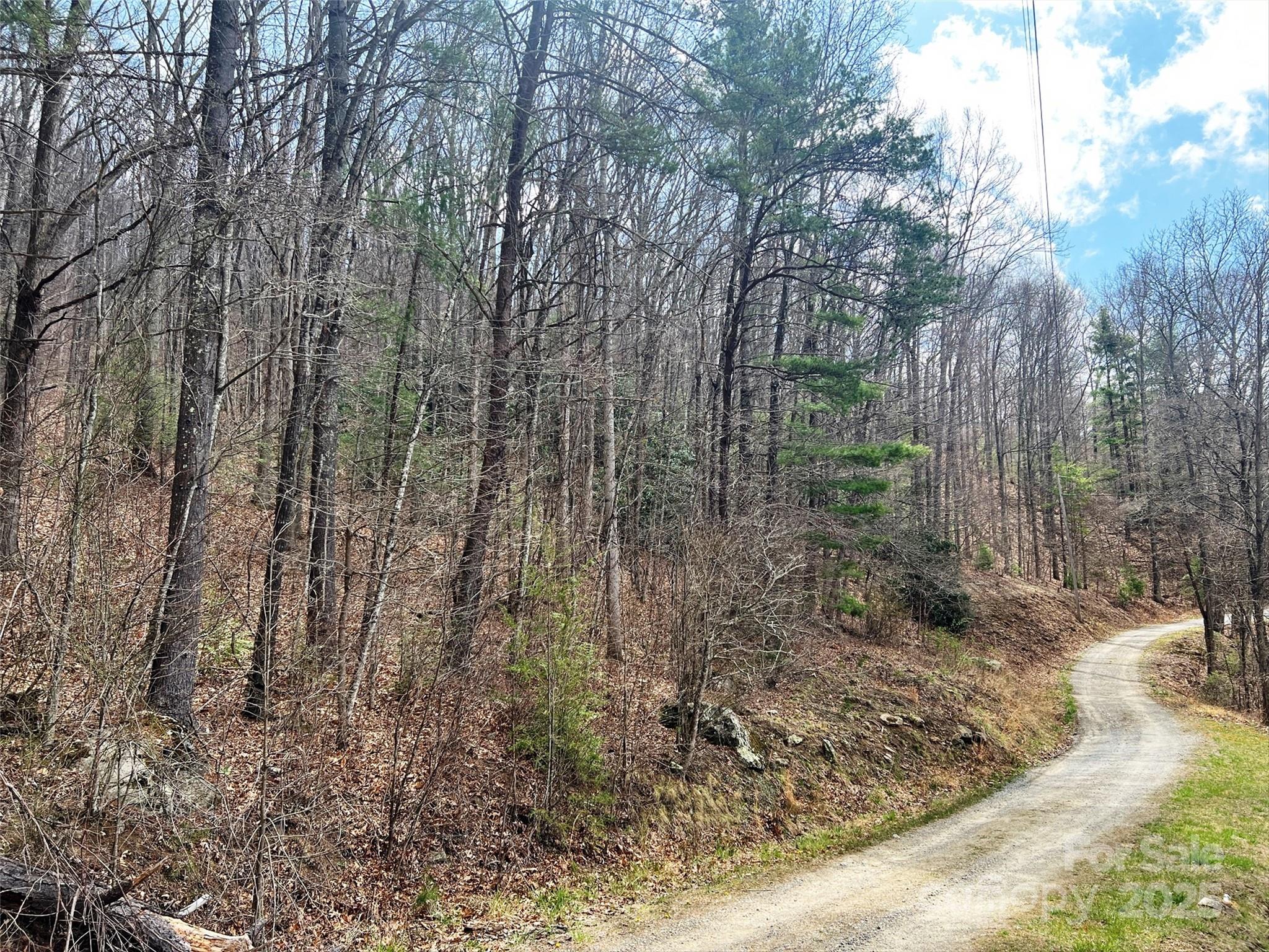 Tbd Moonbeam Lane 101 & 102 Property Photo 14