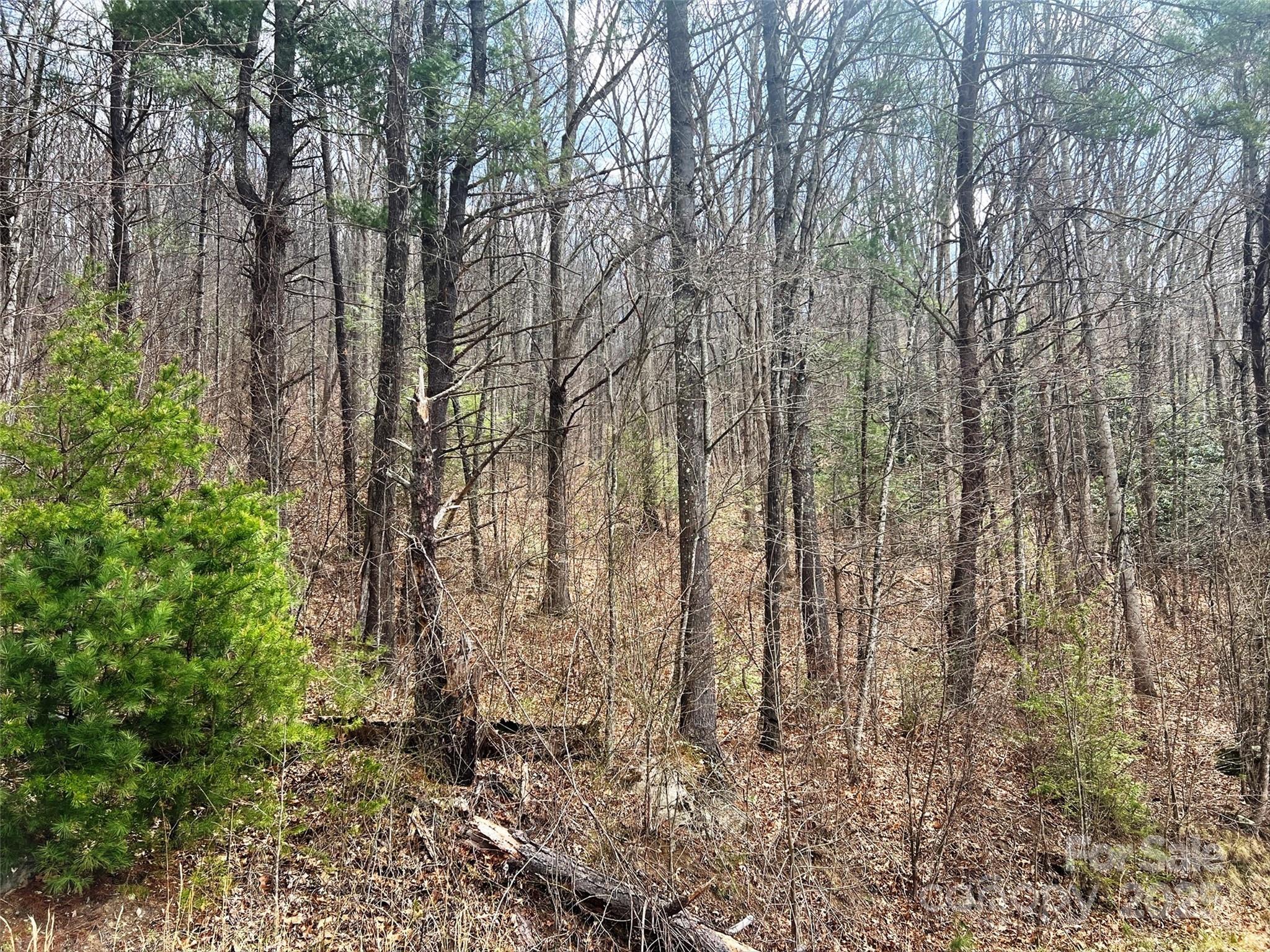 Tbd Moonbeam Lane 101 & 102 Property Photo 15