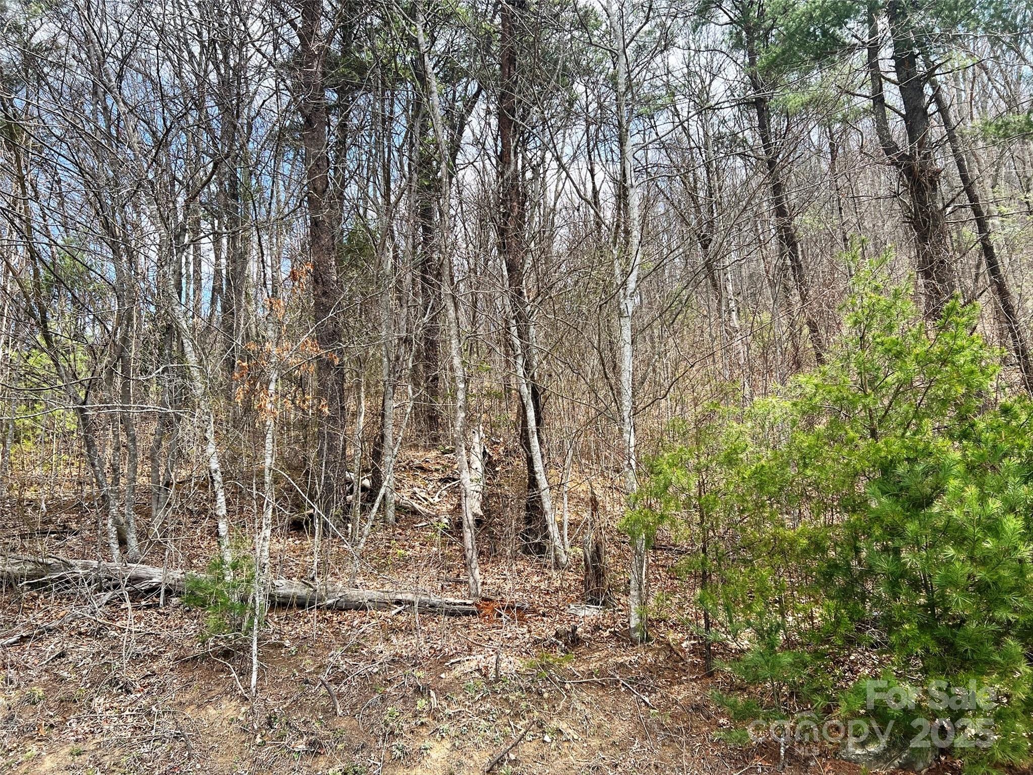 Tbd Moonbeam Lane 101 & 102 Property Photo 16