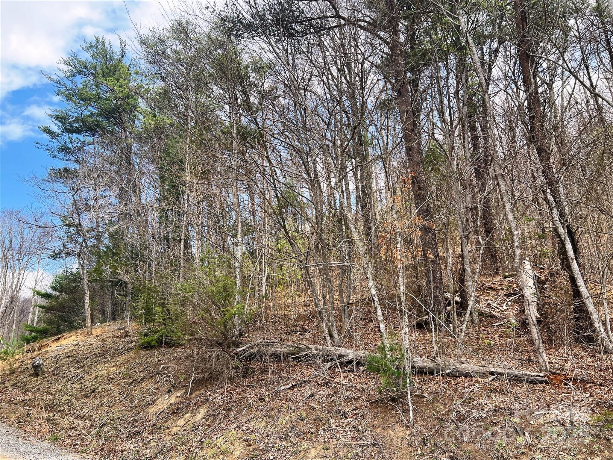 Tbd Moonbeam Lane 101 & 102 Property Photo 17