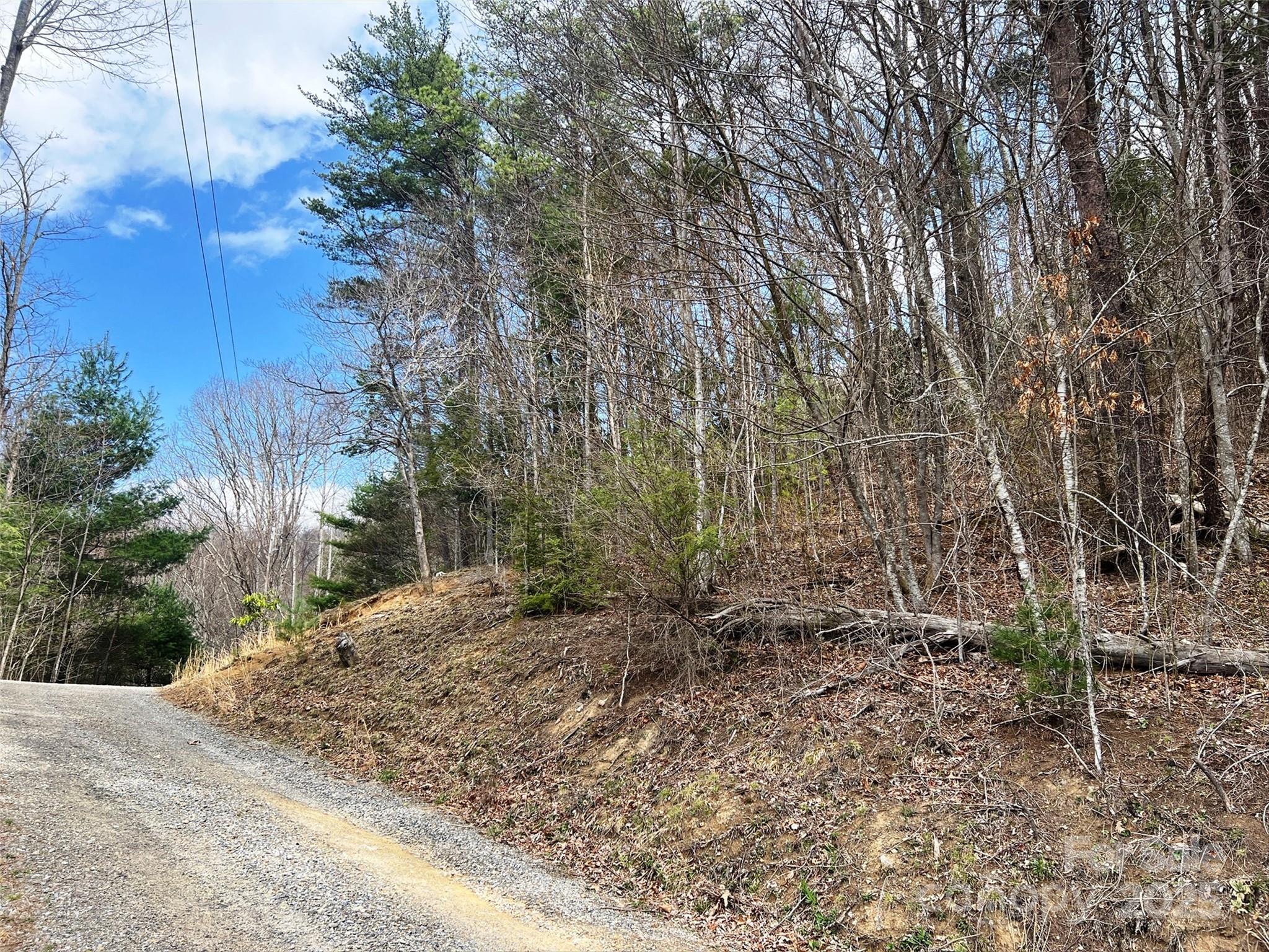 Tbd Moonbeam Lane 101 & 102 Property Photo 18