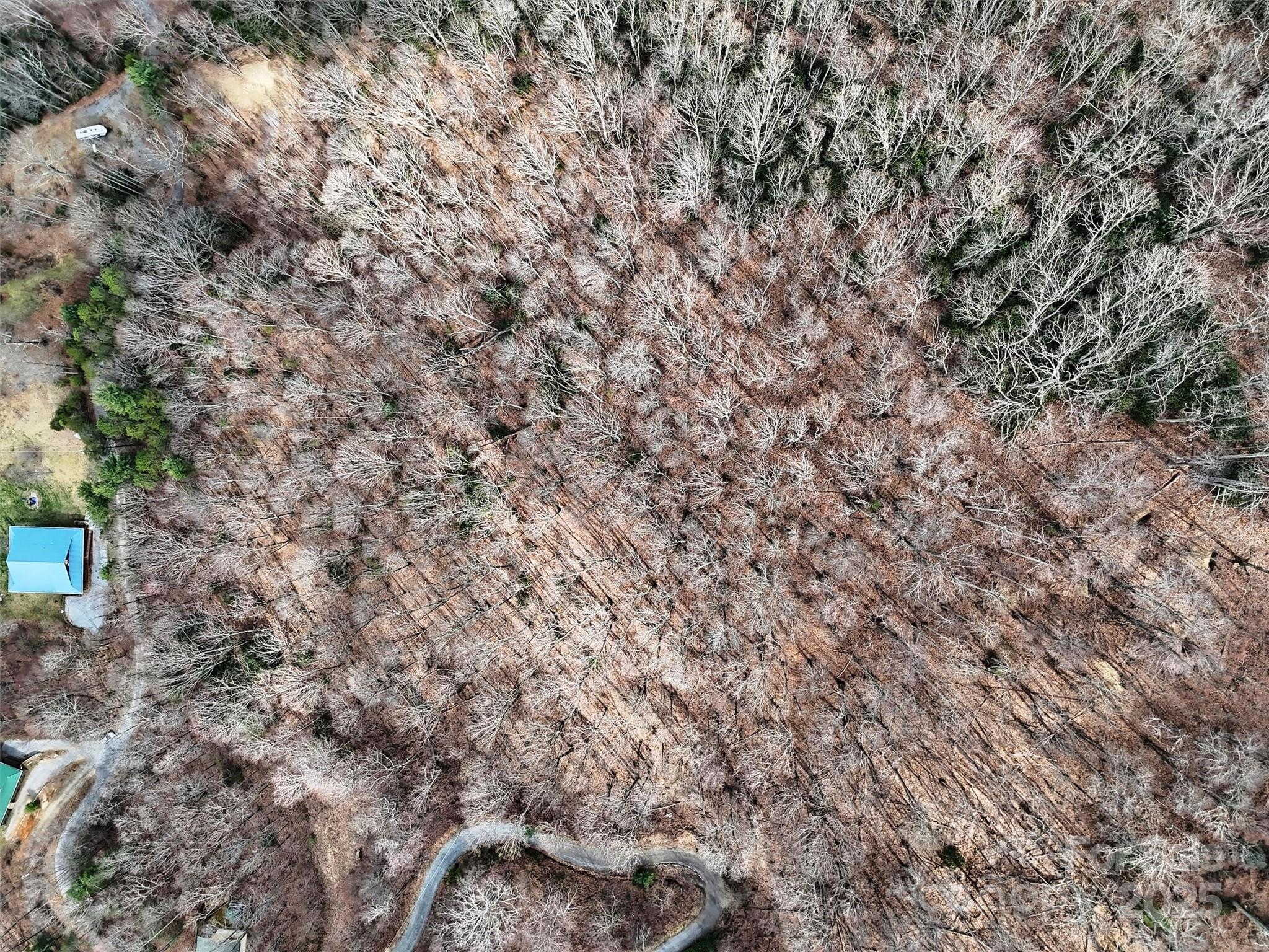 Tbd Moonbeam Lane 101 & 102 Property Photo 19