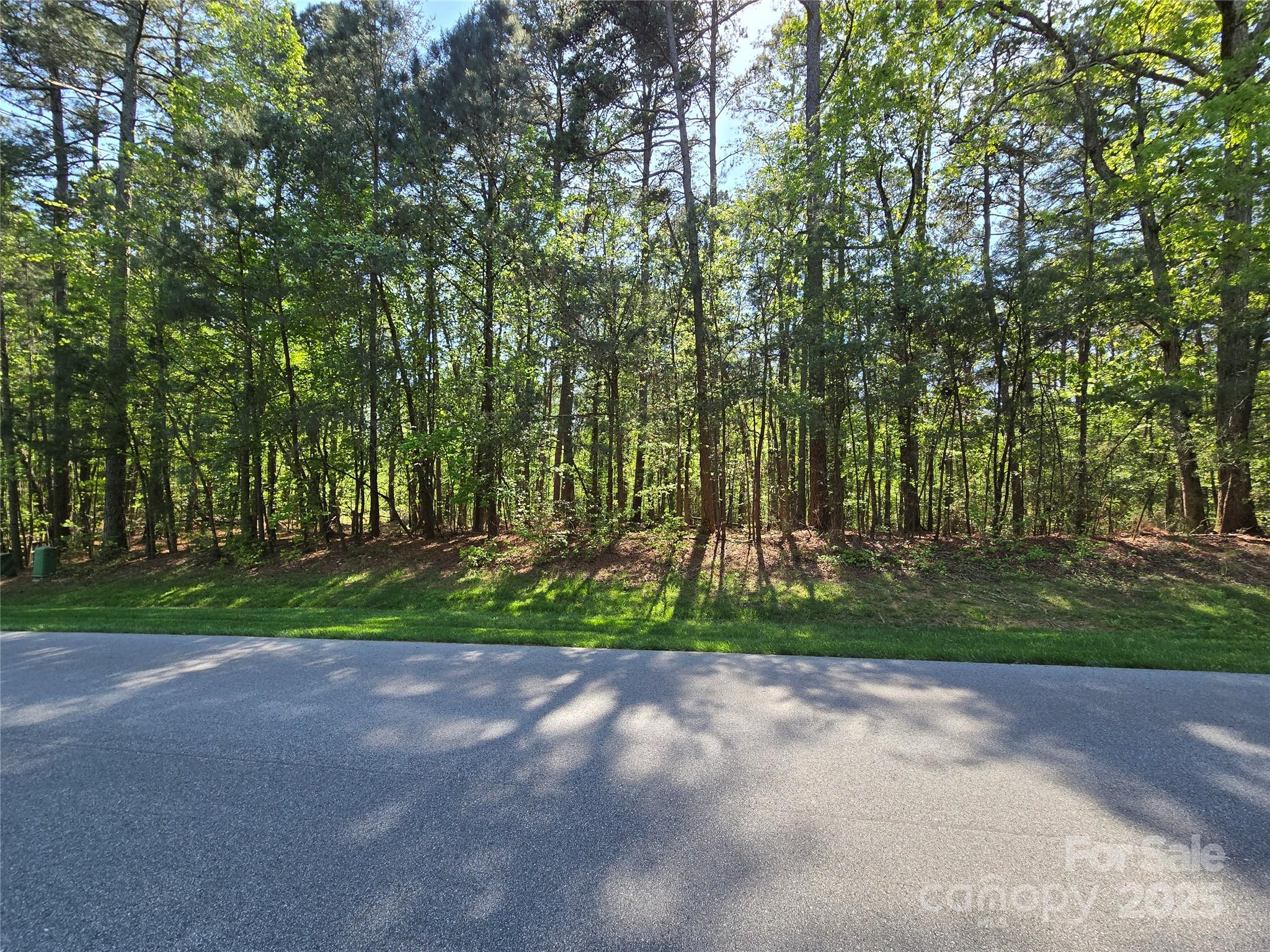 133 Badin View Drive Property Photo 5