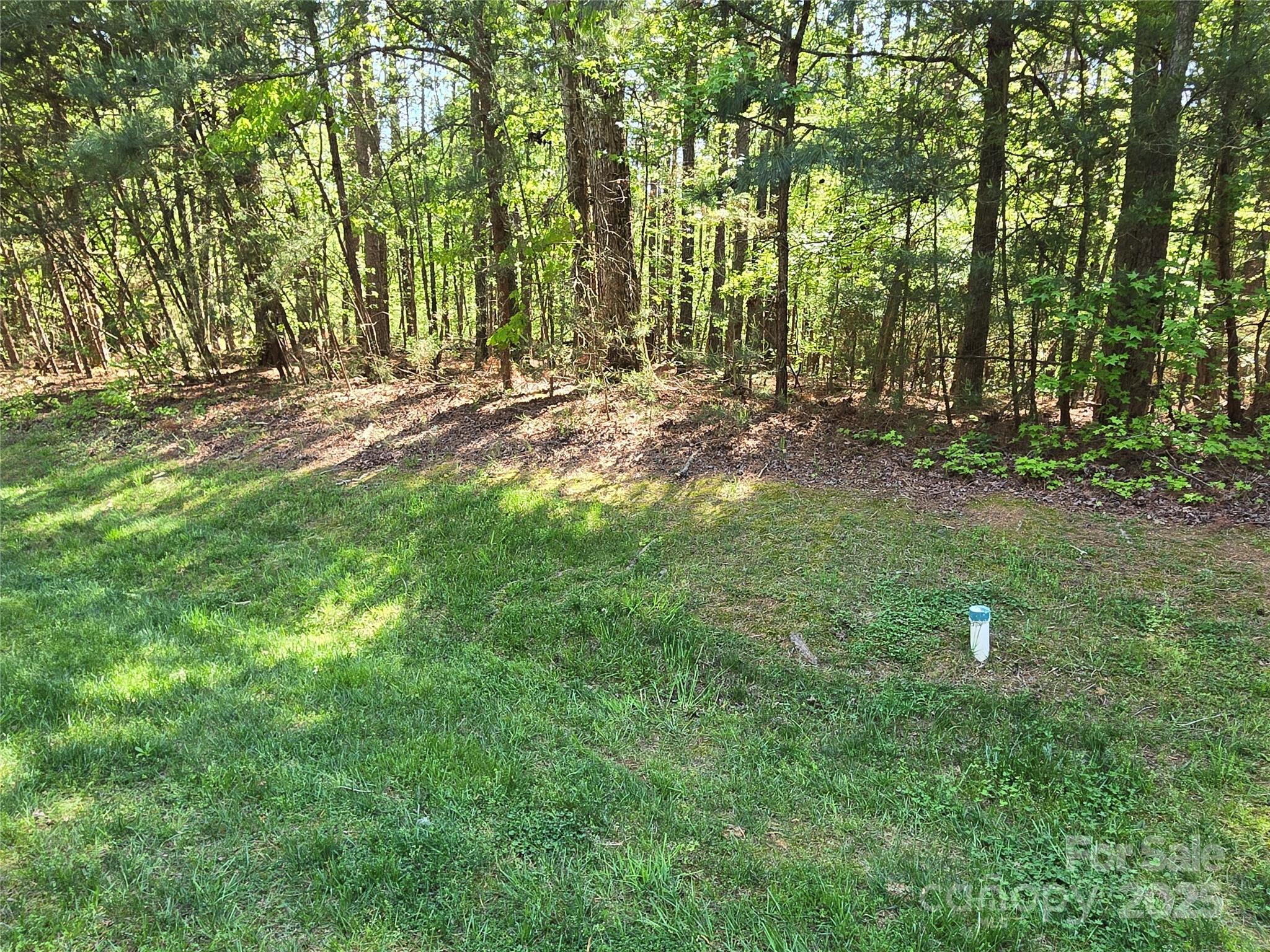 133 Badin View Drive Property Photo 23