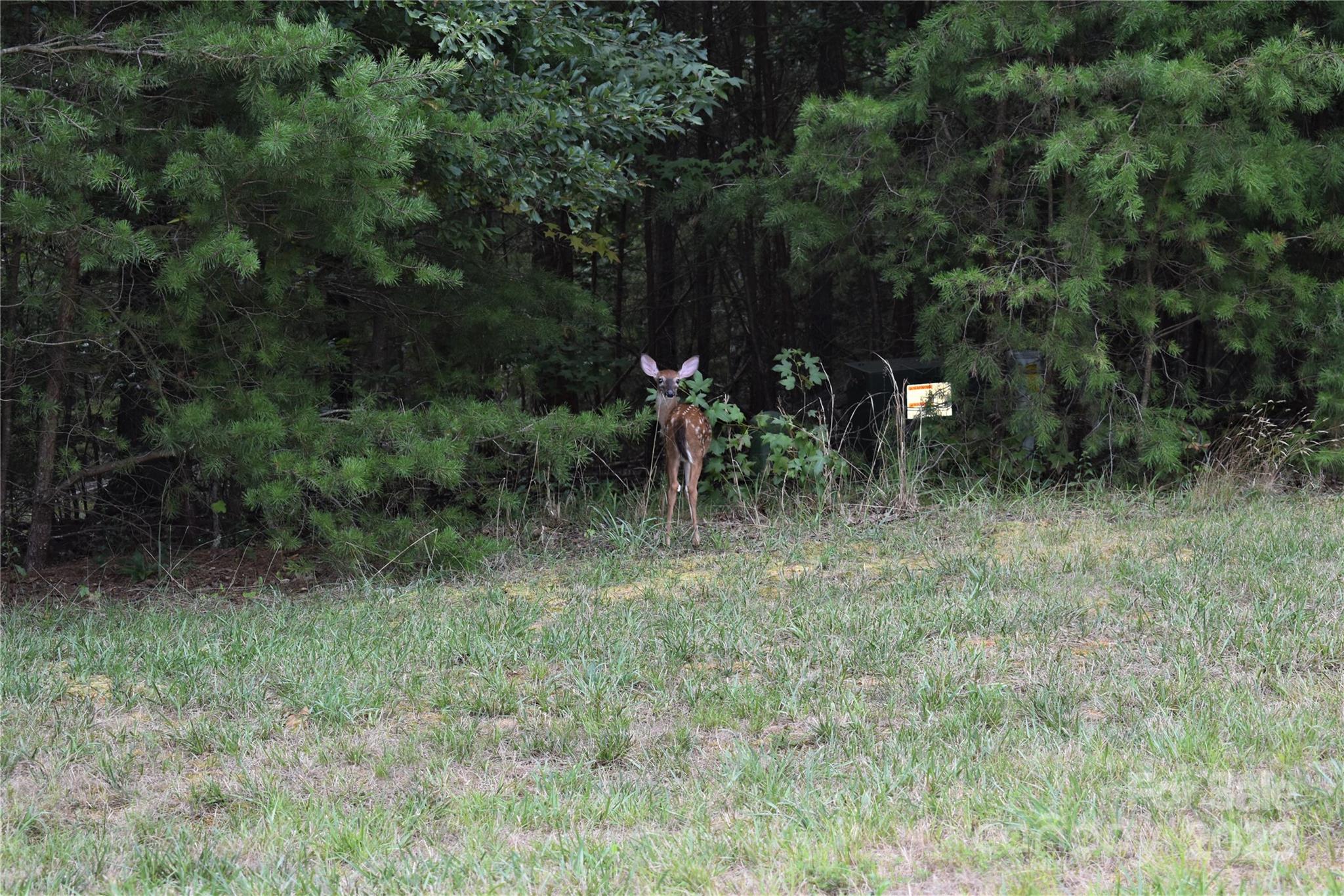 133 Badin View Drive Property Photo 43