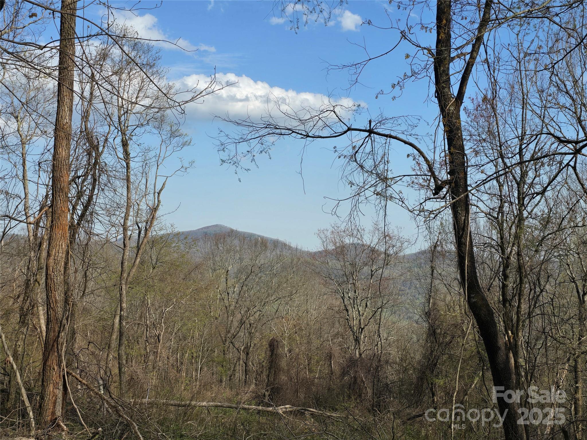 92 Misty Dawn Cove 5a Property Photo 5