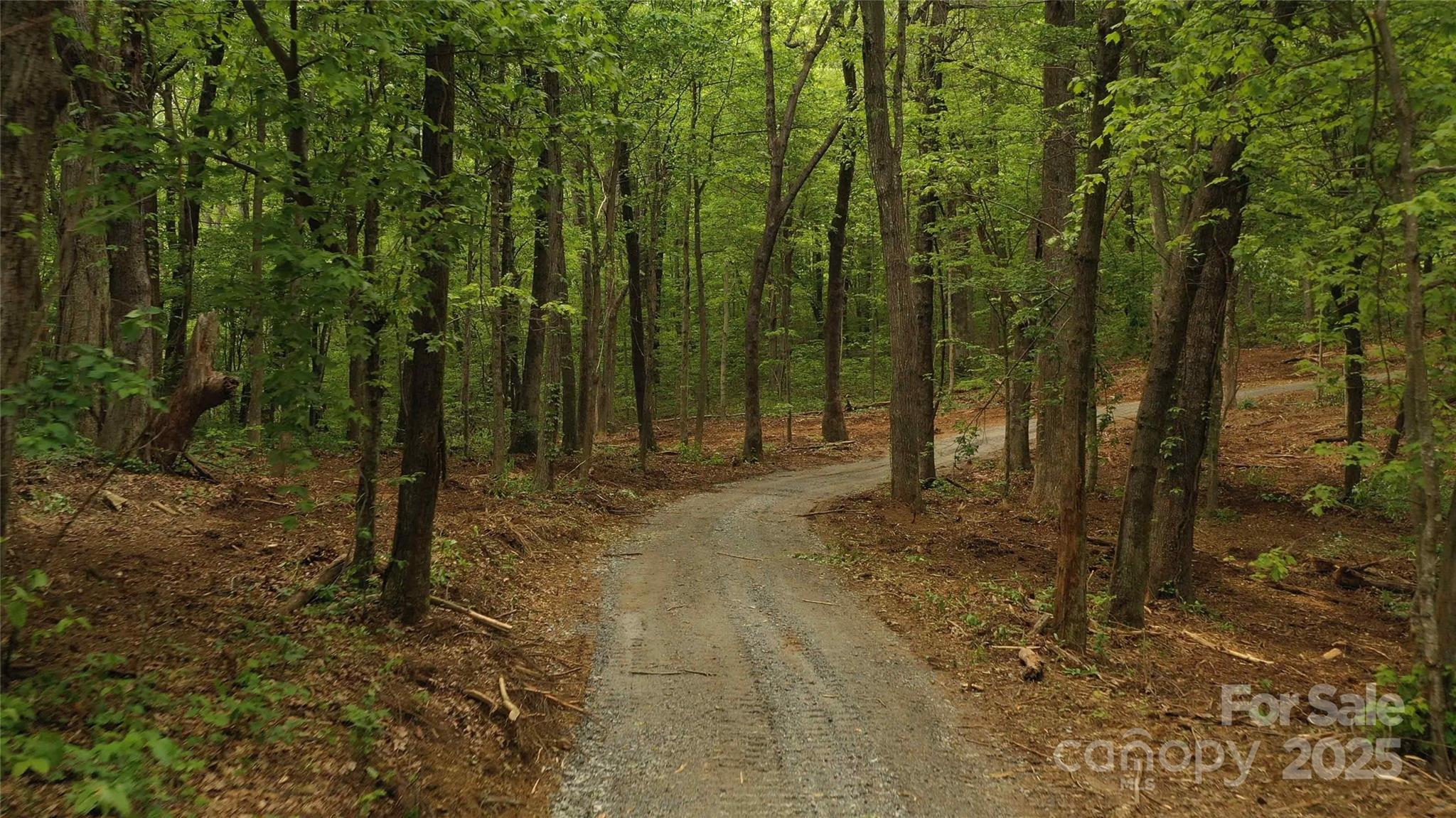 92 Misty Dawn Cove 5a Property Photo 6