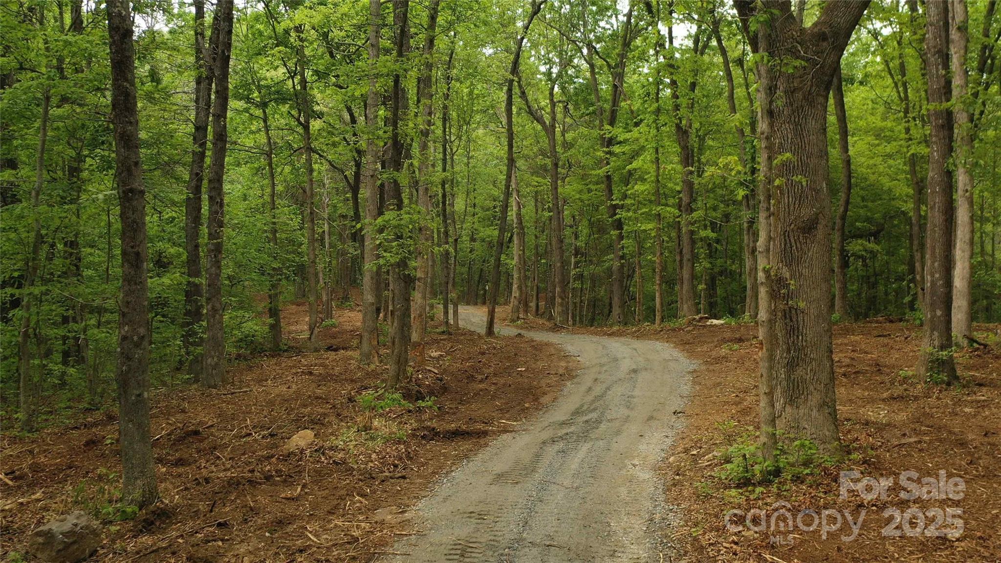 92 Misty Dawn Cove 5a Property Photo 8