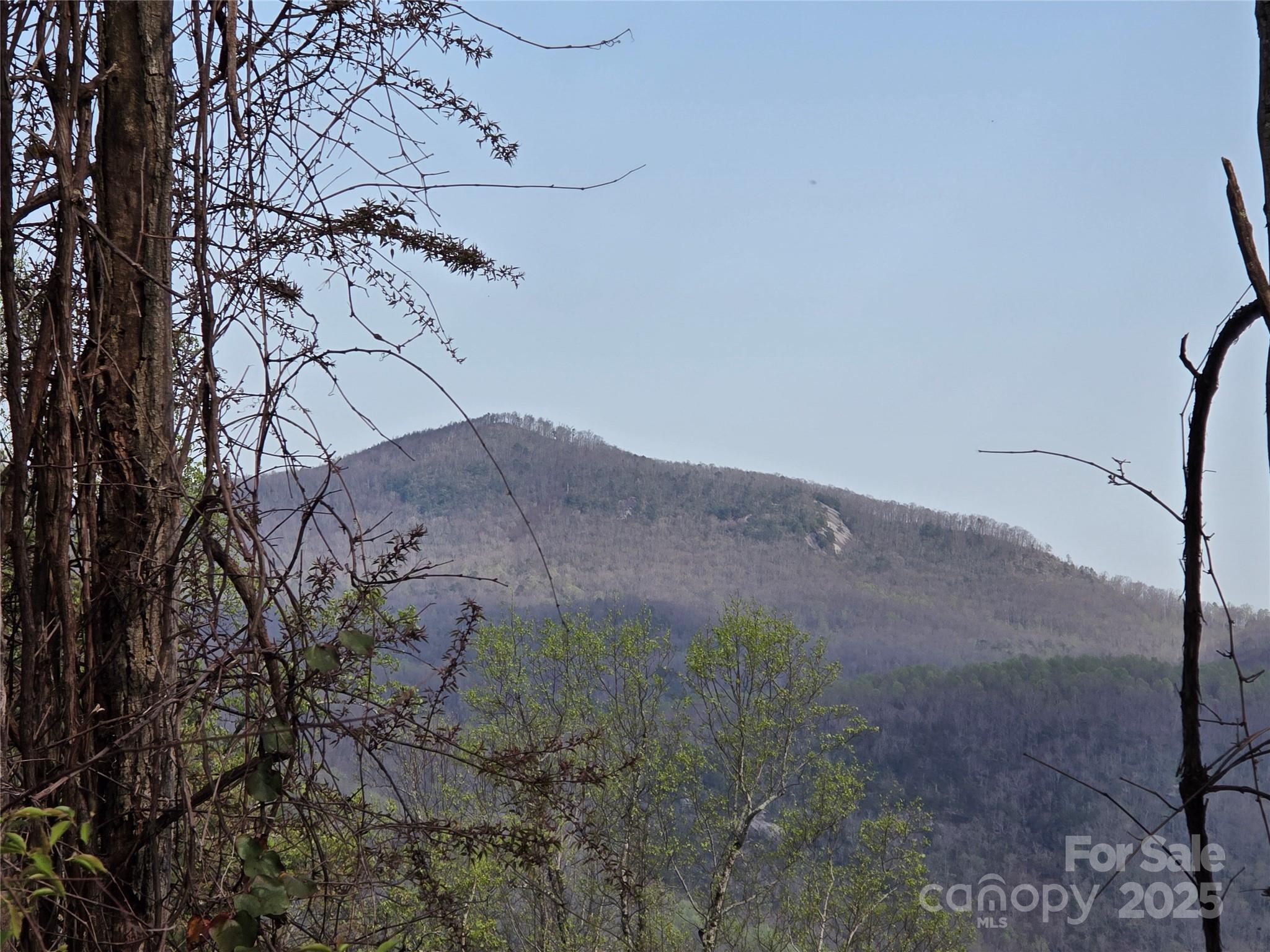 92 Misty Dawn Cove 5a Property Photo 9