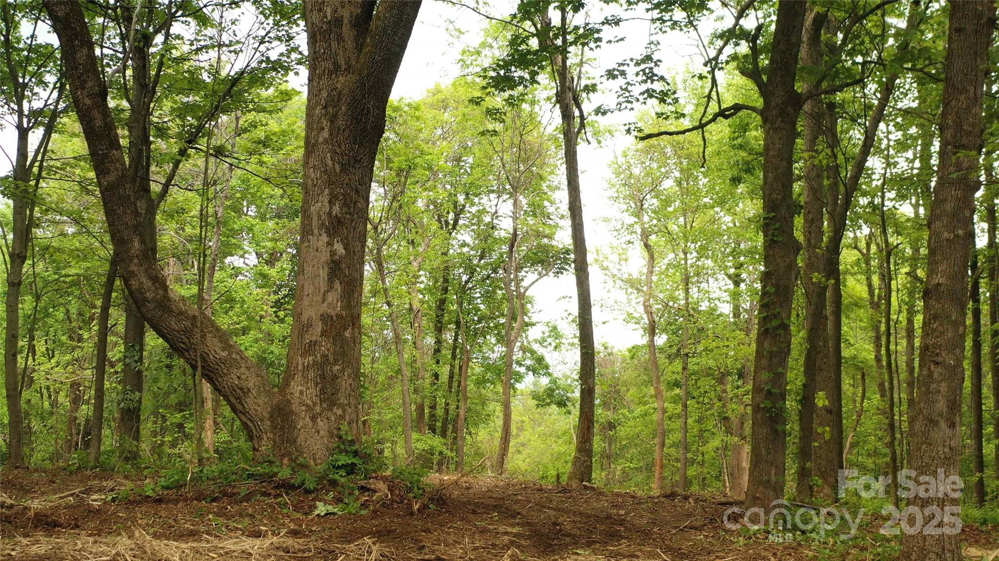 92 Misty Dawn Cove 5a Property Photo 10