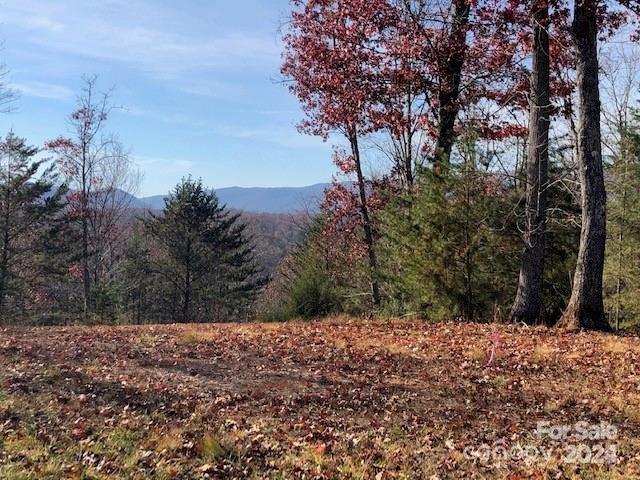 30 Mountain Parkway Property Photo