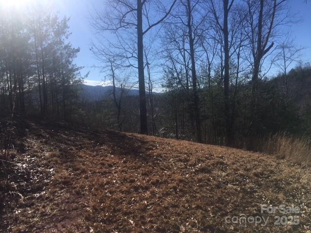 30 Mountain Parkway Property Photo 2