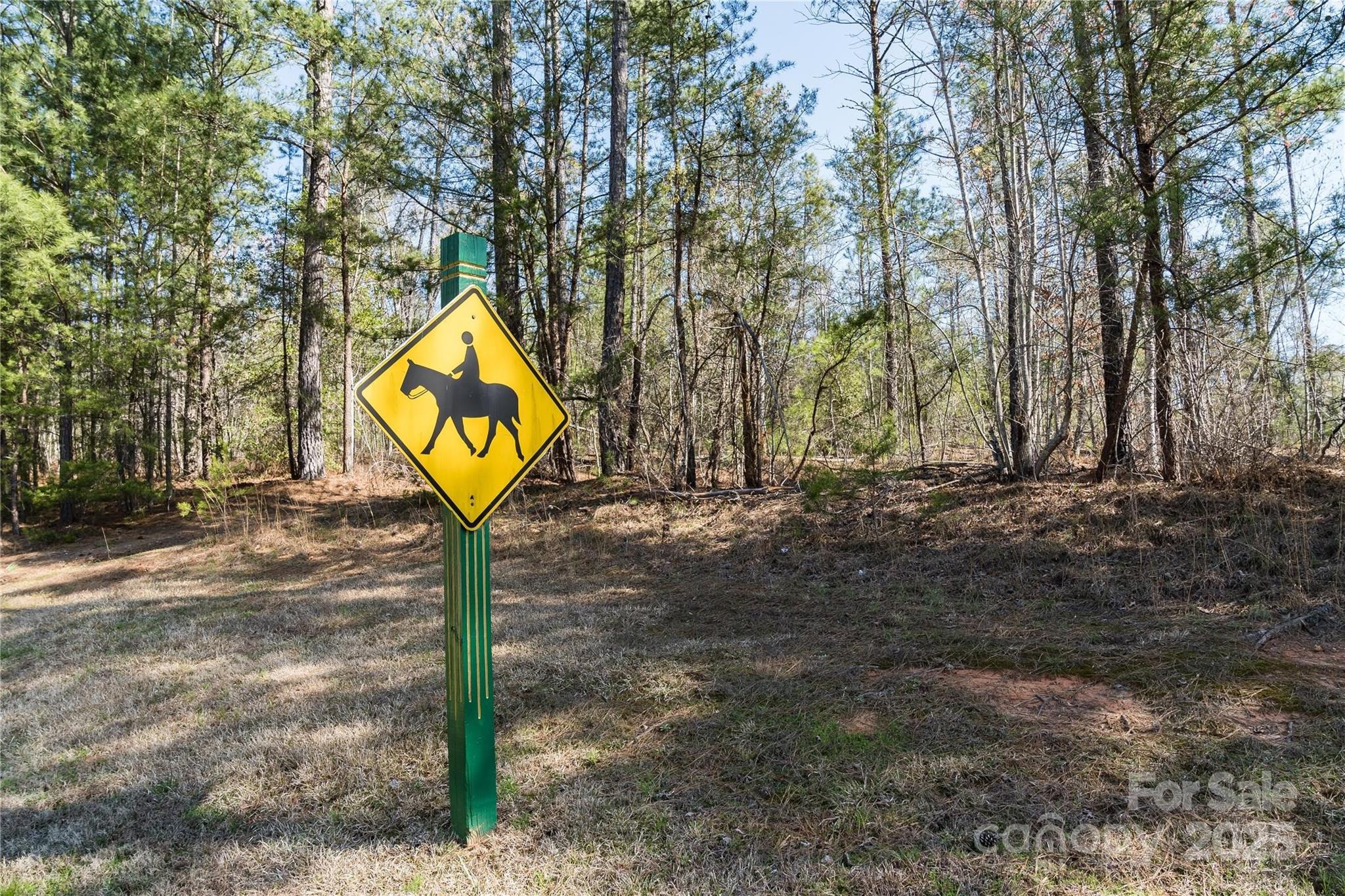 30 Mountain Parkway Property Photo 6